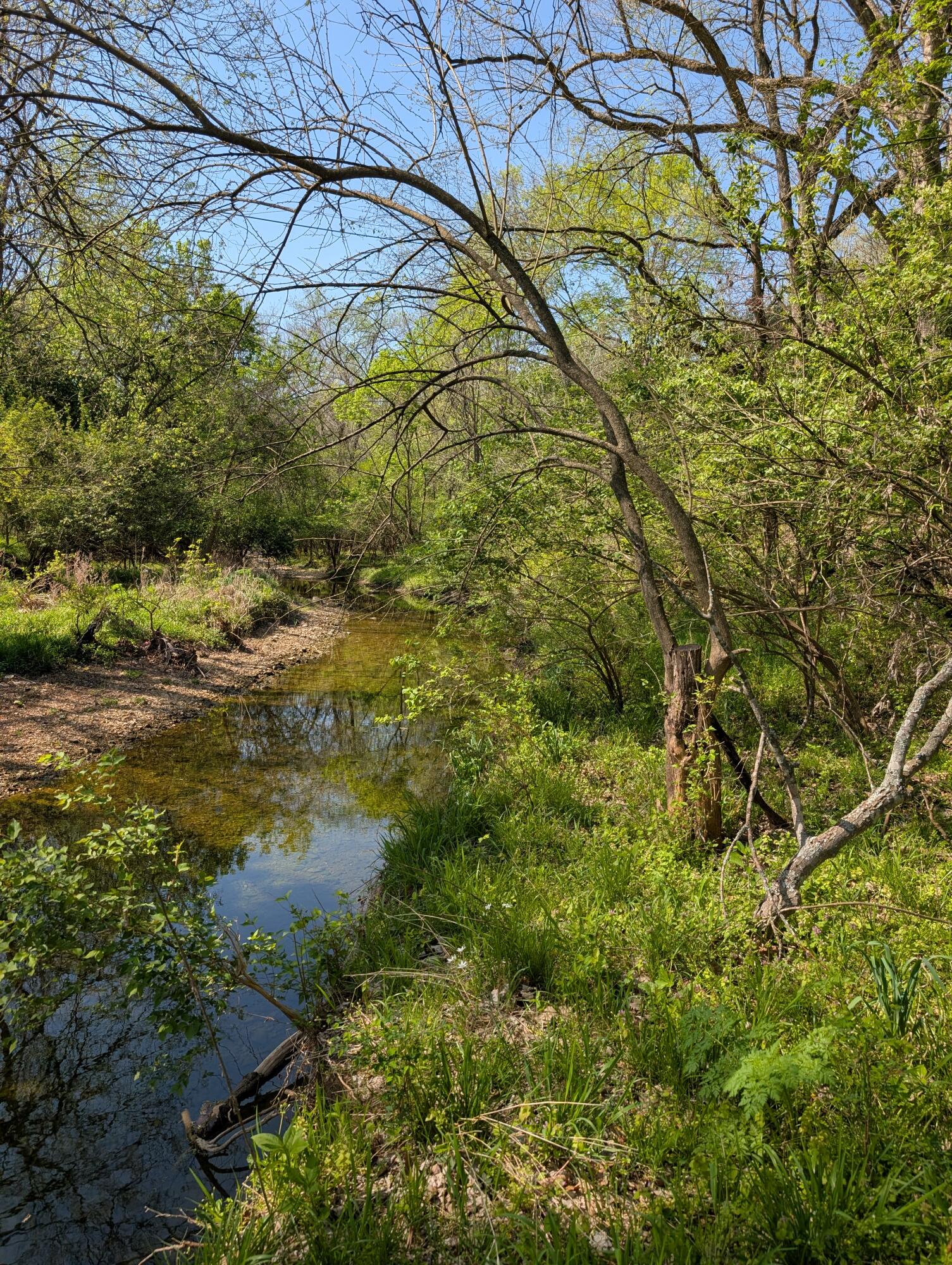 Photo 20 - Land for sale – 3624 N Farm Road 147   Springfield, MO