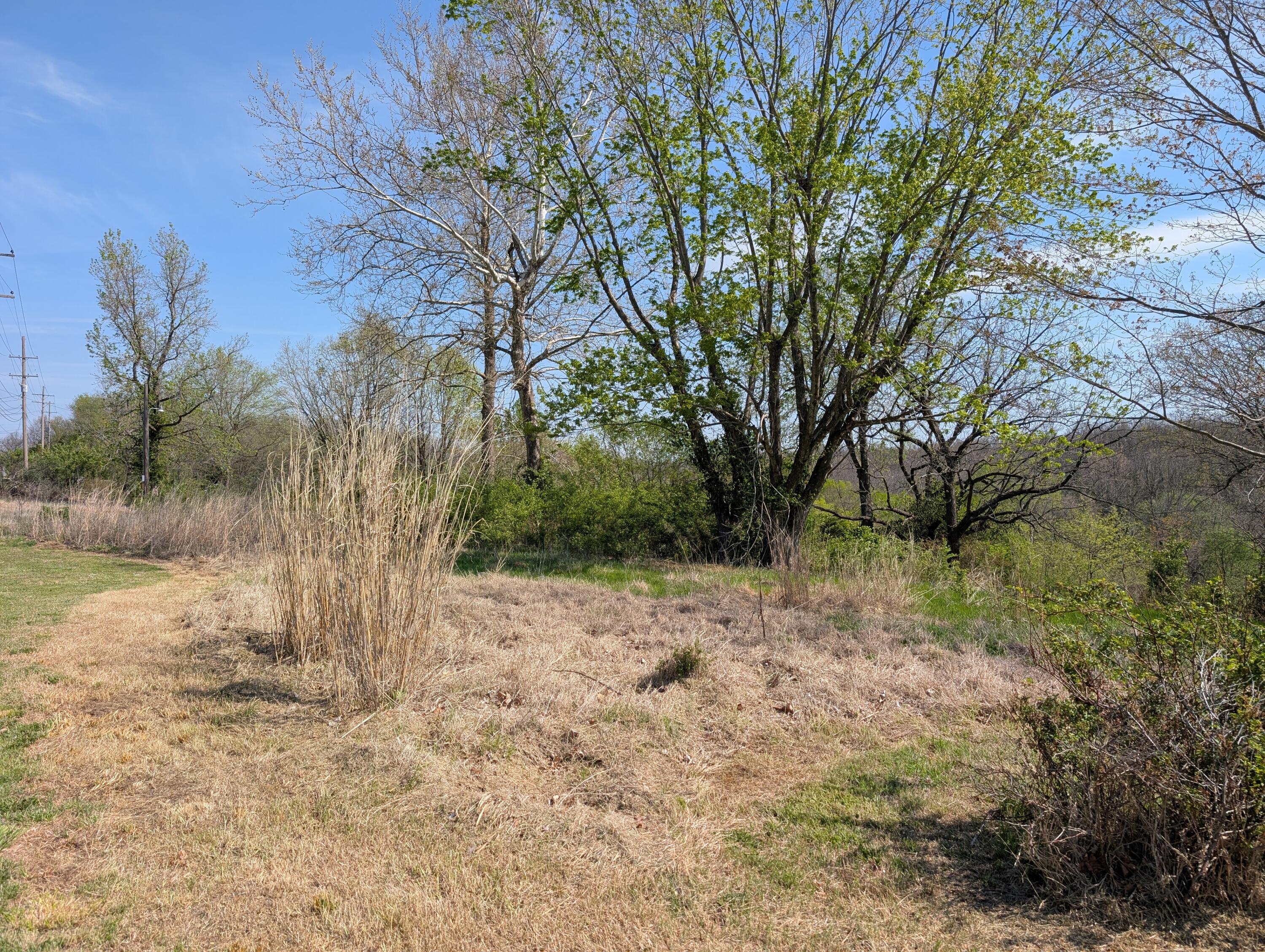 Photo 11 - Land for sale – 3624 N Farm Road 147   Springfield, MO