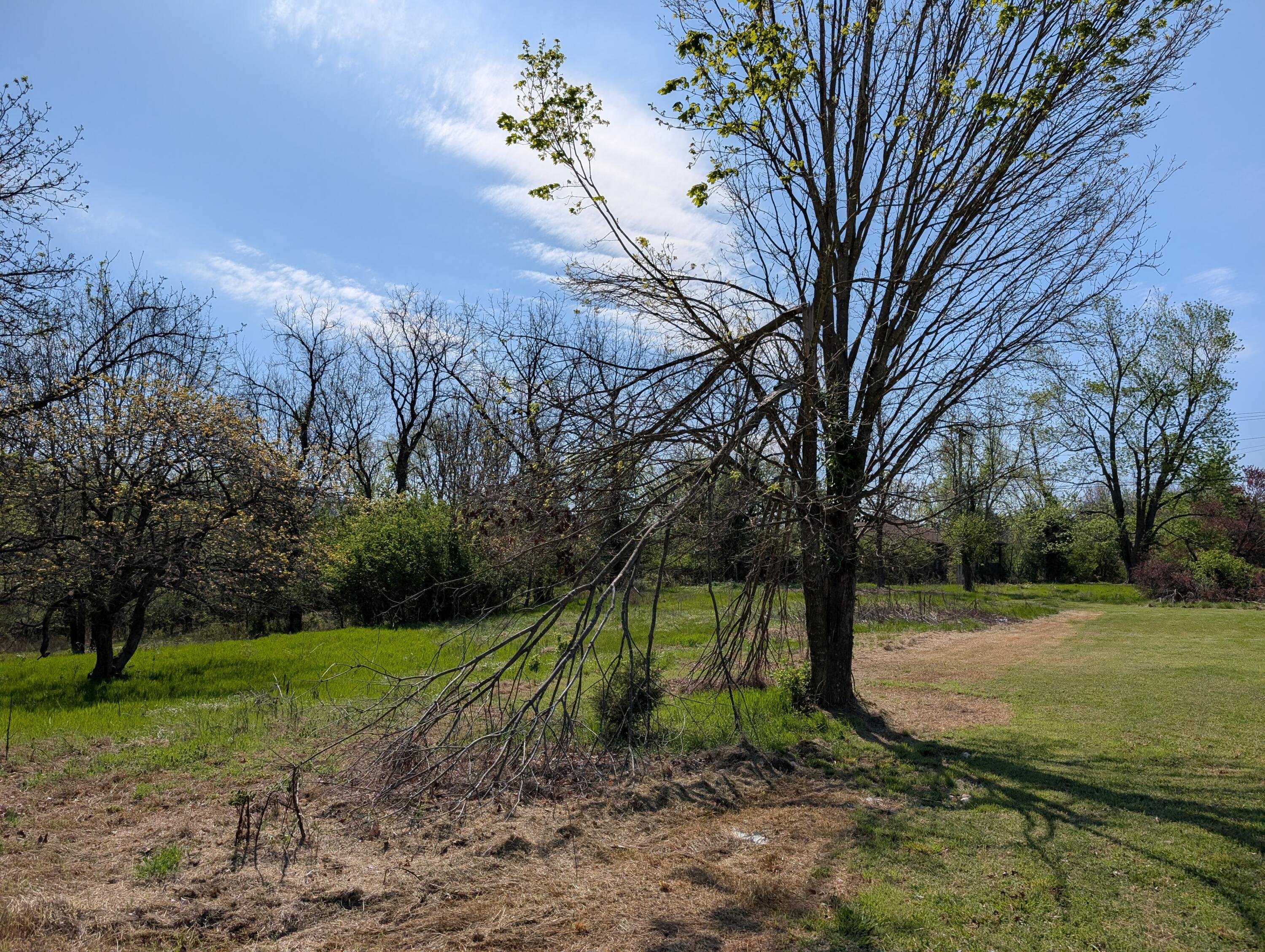 Photo 9 - Land for sale – 3624 N Farm Road 147   Springfield, MO