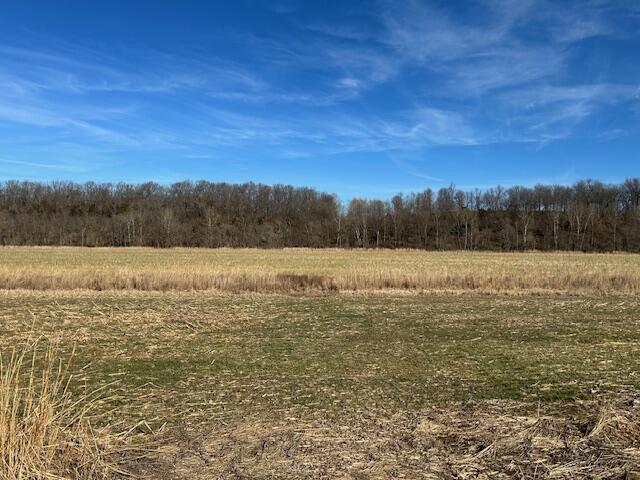 Photo 3 - Land for sale – 000  Holly Road  Pierce City, MO