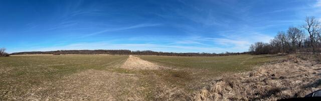 Photo 6 - Land for sale – 000  Holly Road  Pierce City, MO