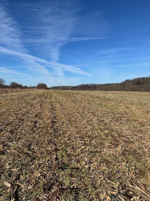 Photo 5 - Land for sale – 000  Holly Road  Pierce City, MO