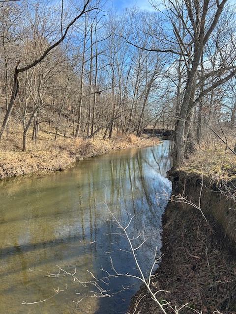 Photo 9 - Land for sale – 000  Holly Road  Pierce City, MO