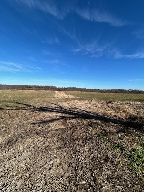 Photo 2 - Land for sale – 000  Holly Road  Pierce City, MO