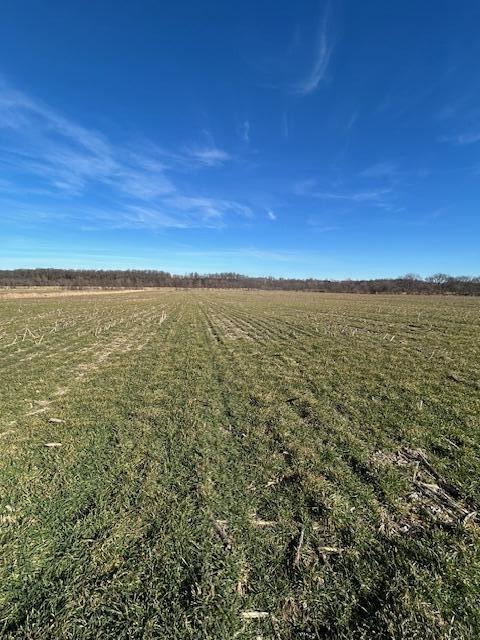 Land for sale – 000  Holly Road  Pierce City, MO