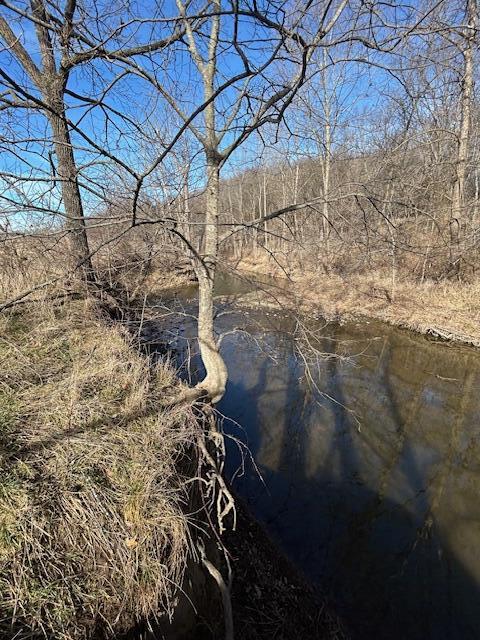 Photo 8 - Land for sale – 000  Holly Road  Pierce City, MO