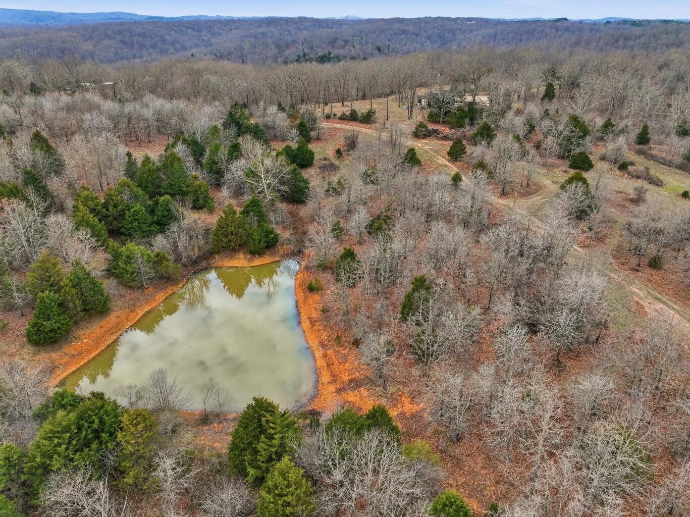 Photo 20 - Land for sale – 000  Highway U   Willow Springs, MO