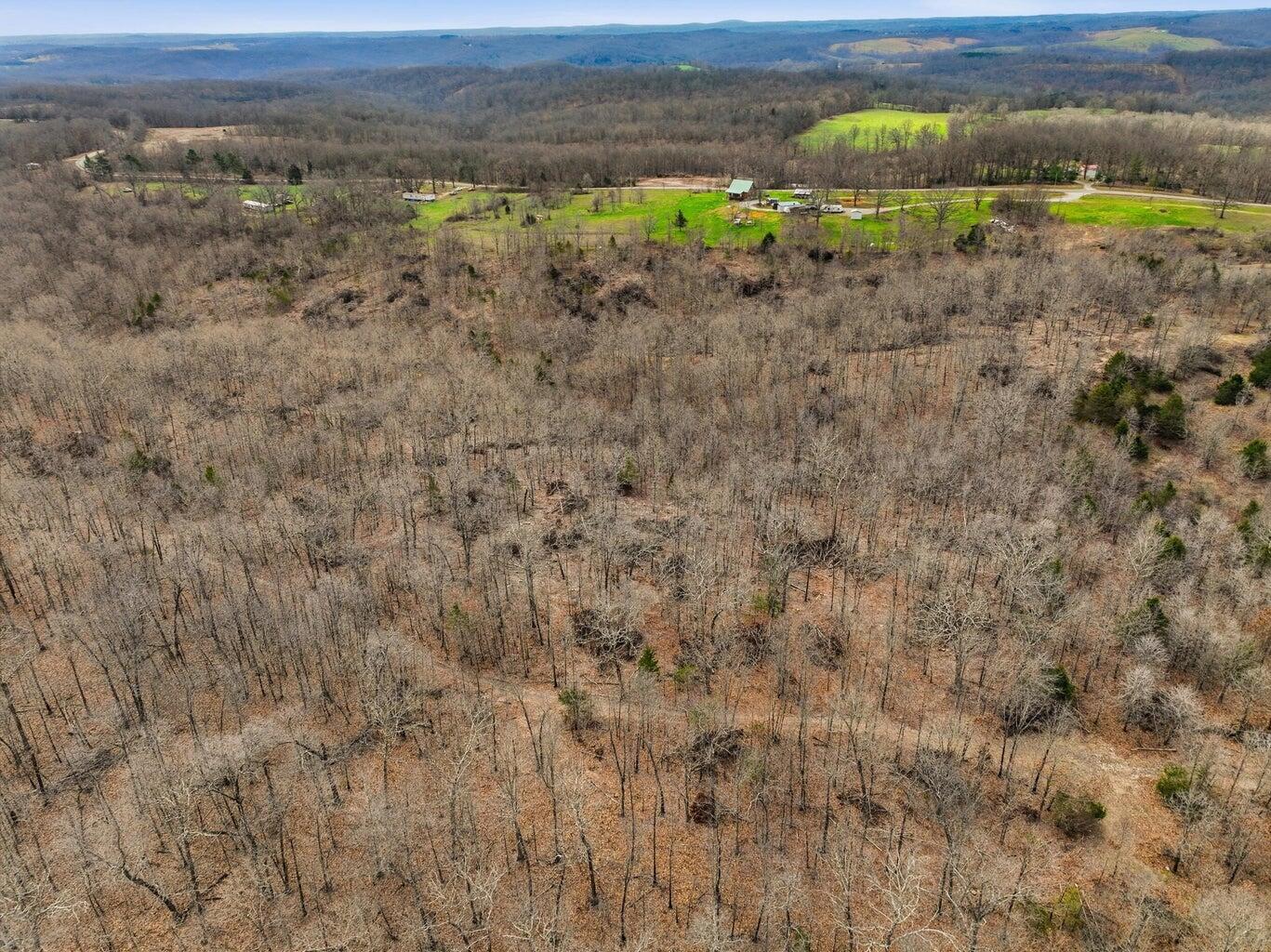 Photo 15 - Land for sale – 000  Highway U   Willow Springs, MO