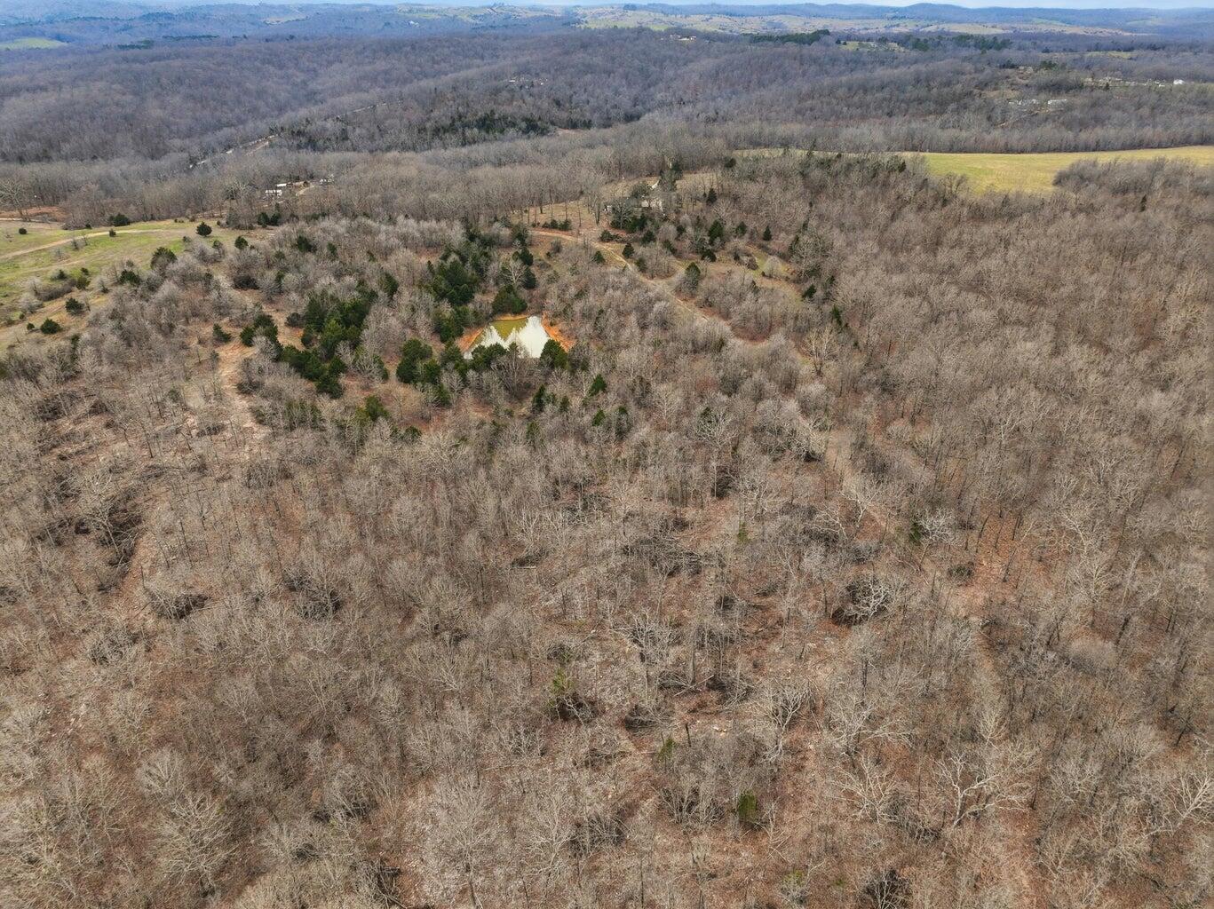 Photo 21 - Land for sale – 000  Highway U   Willow Springs, MO