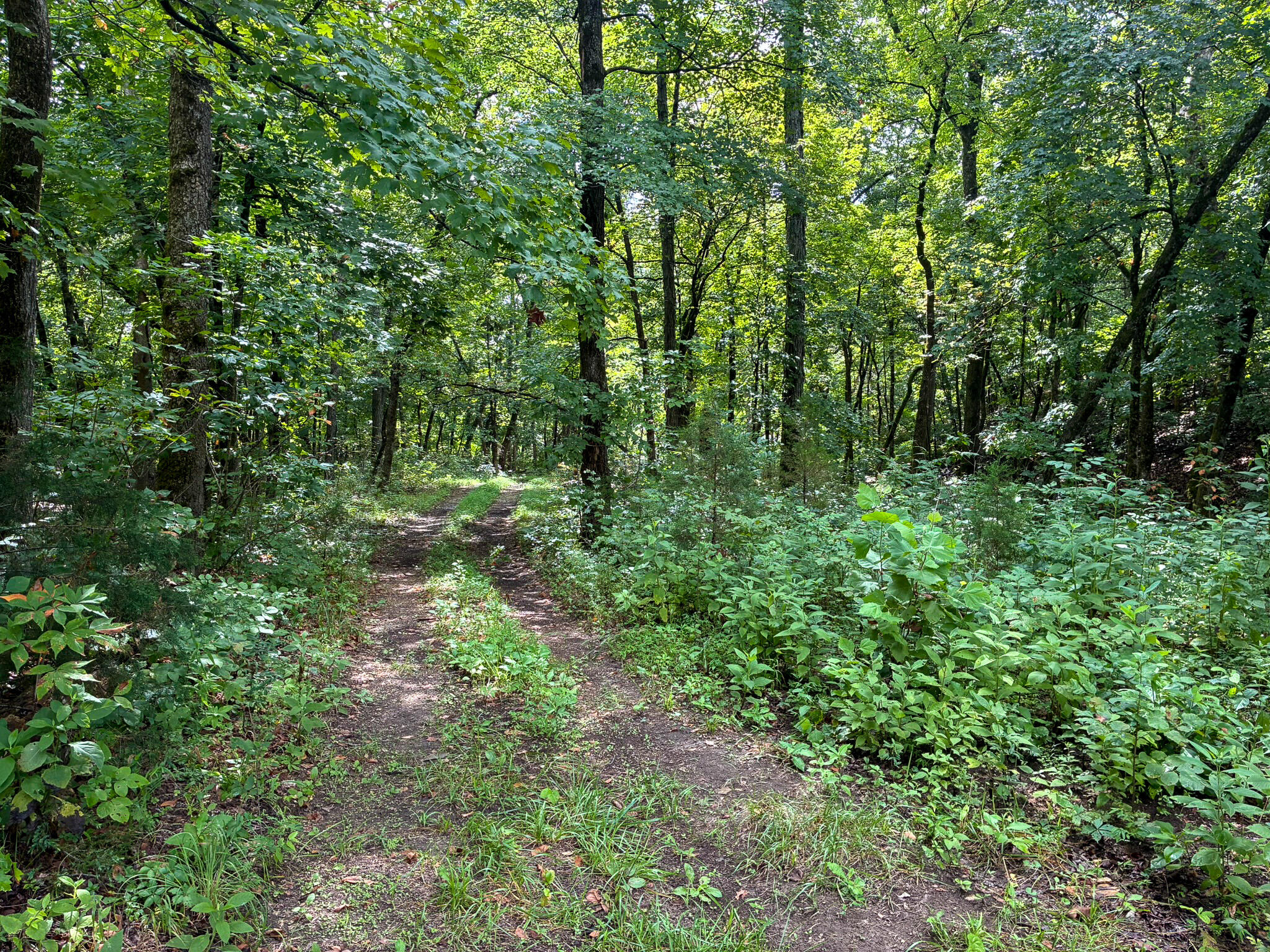 Photo 43 - Land for sale – 121  Legacy Farm Rd   Chestnutridge, MO