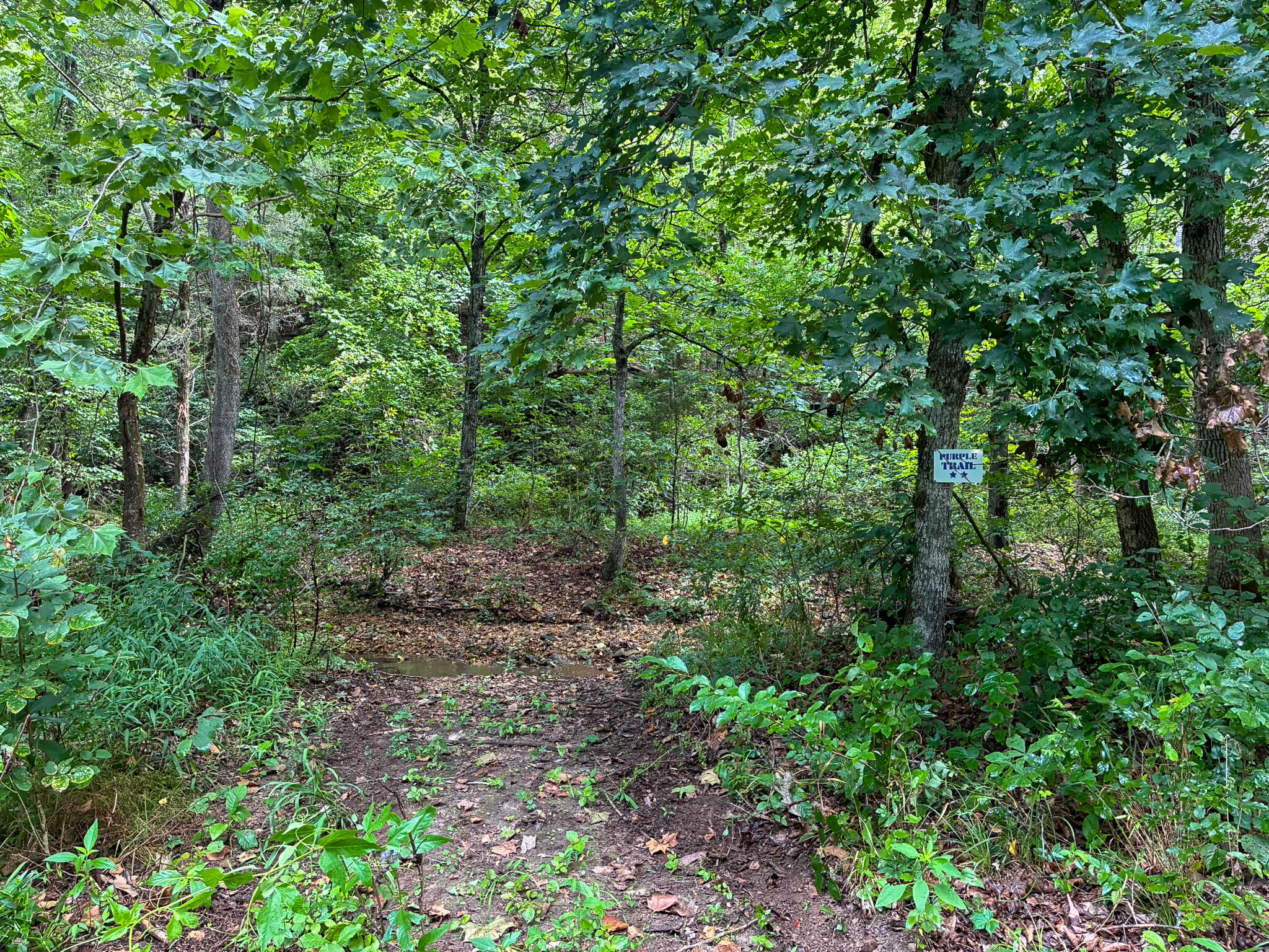 Photo 56 - Land for sale – 121  Legacy Farm Rd   Chestnutridge, MO