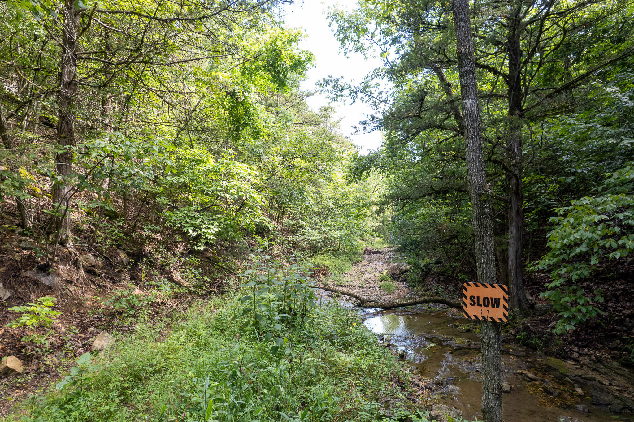 Photo 52 - Land for sale – 121  Legacy Farm Rd   Chestnutridge, MO