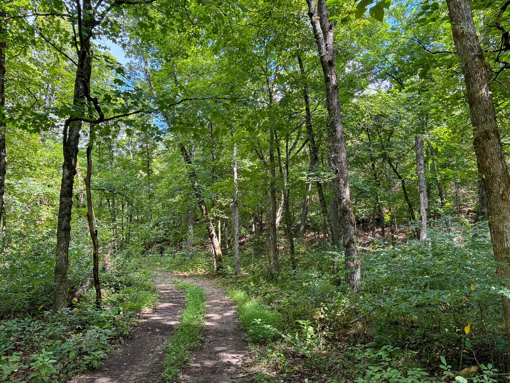 Photo 31 - Land for sale – 121  Legacy Farm Rd   Chestnutridge, MO