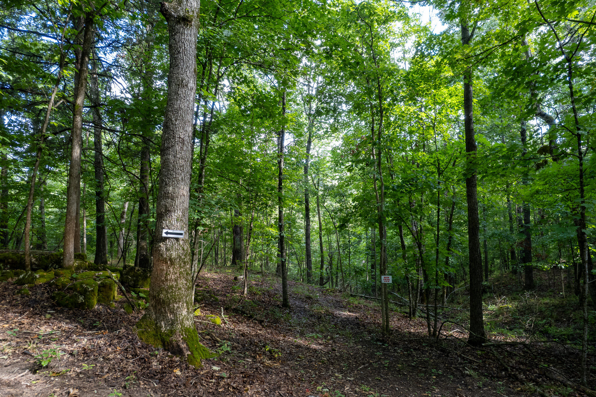 Photo 46 - Land for sale – 121  Legacy Farm Rd   Chestnutridge, MO