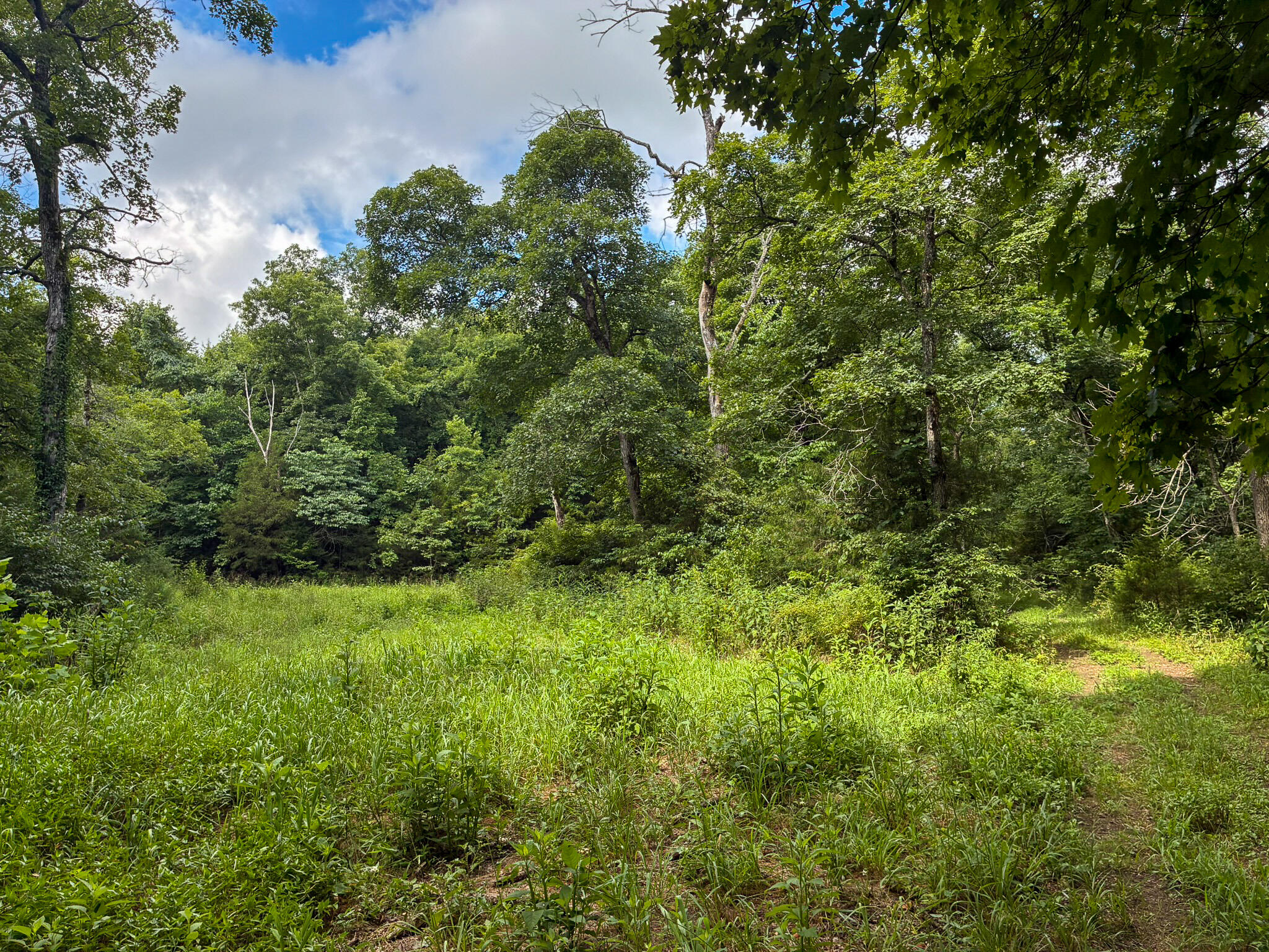 Photo 32 - Land for sale – 121  Legacy Farm Rd   Chestnutridge, MO