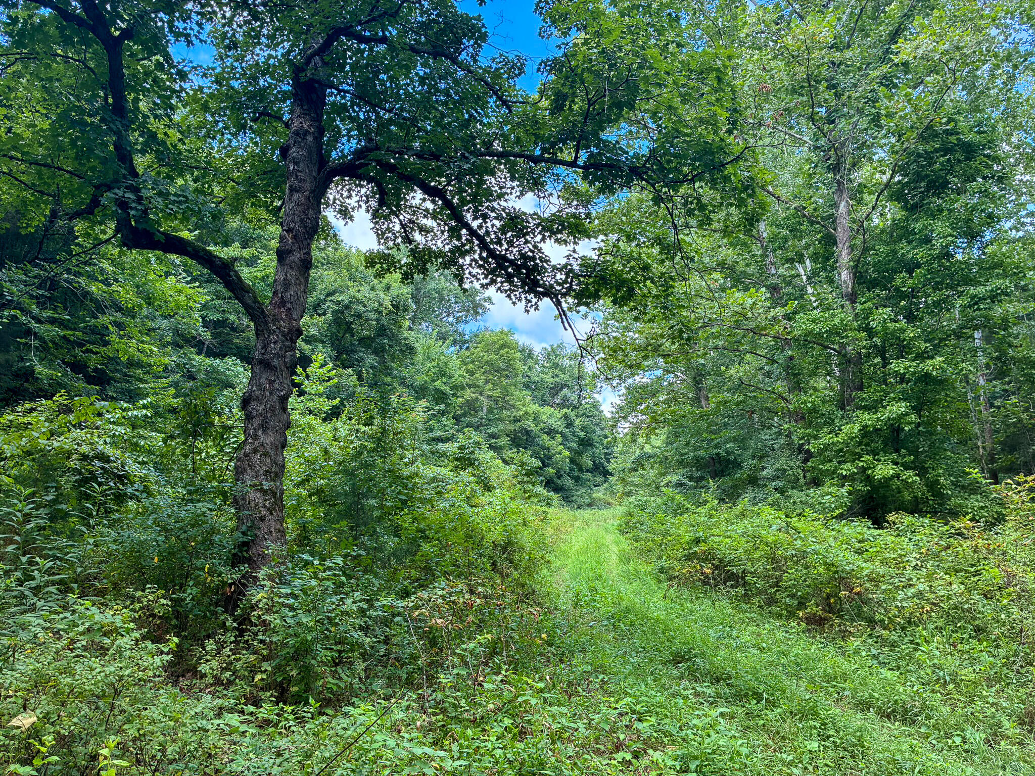 Photo 35 - Land for sale – 121  Legacy Farm Rd   Chestnutridge, MO