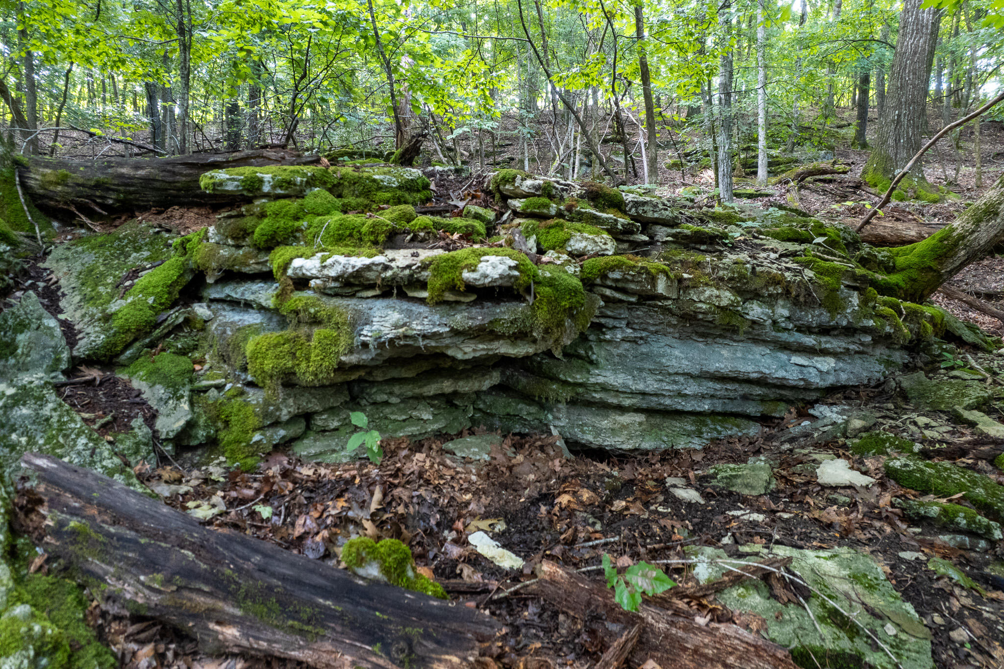 Photo 49 - Land for sale – 121  Legacy Farm Rd   Chestnutridge, MO