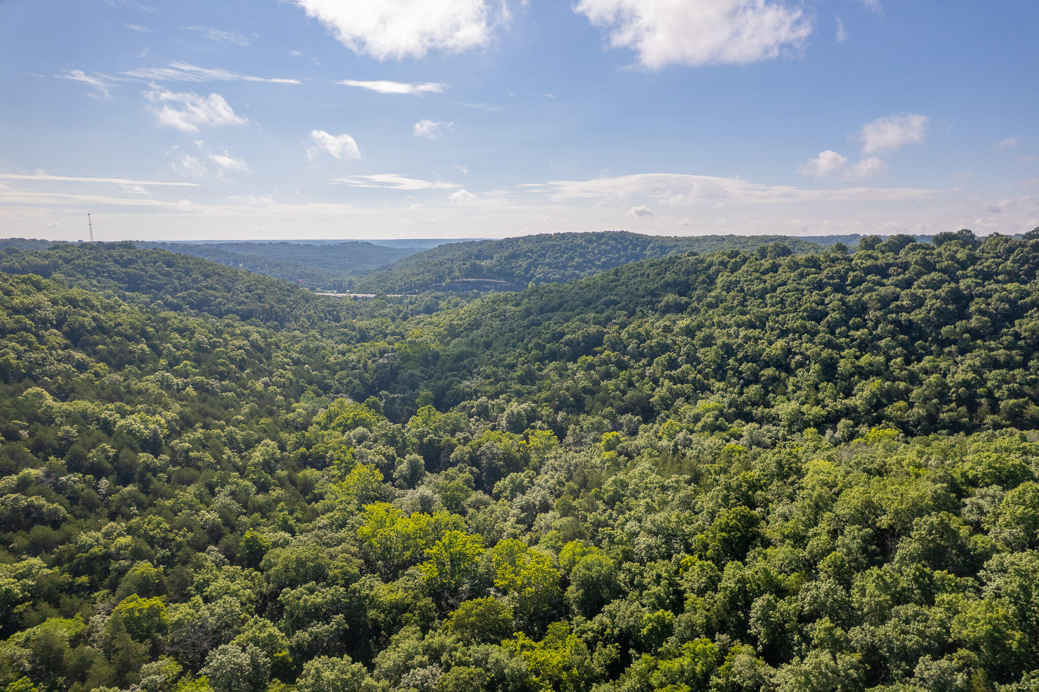 Photo 58 - Land for sale – 121  Legacy Farm Rd   Chestnutridge, MO