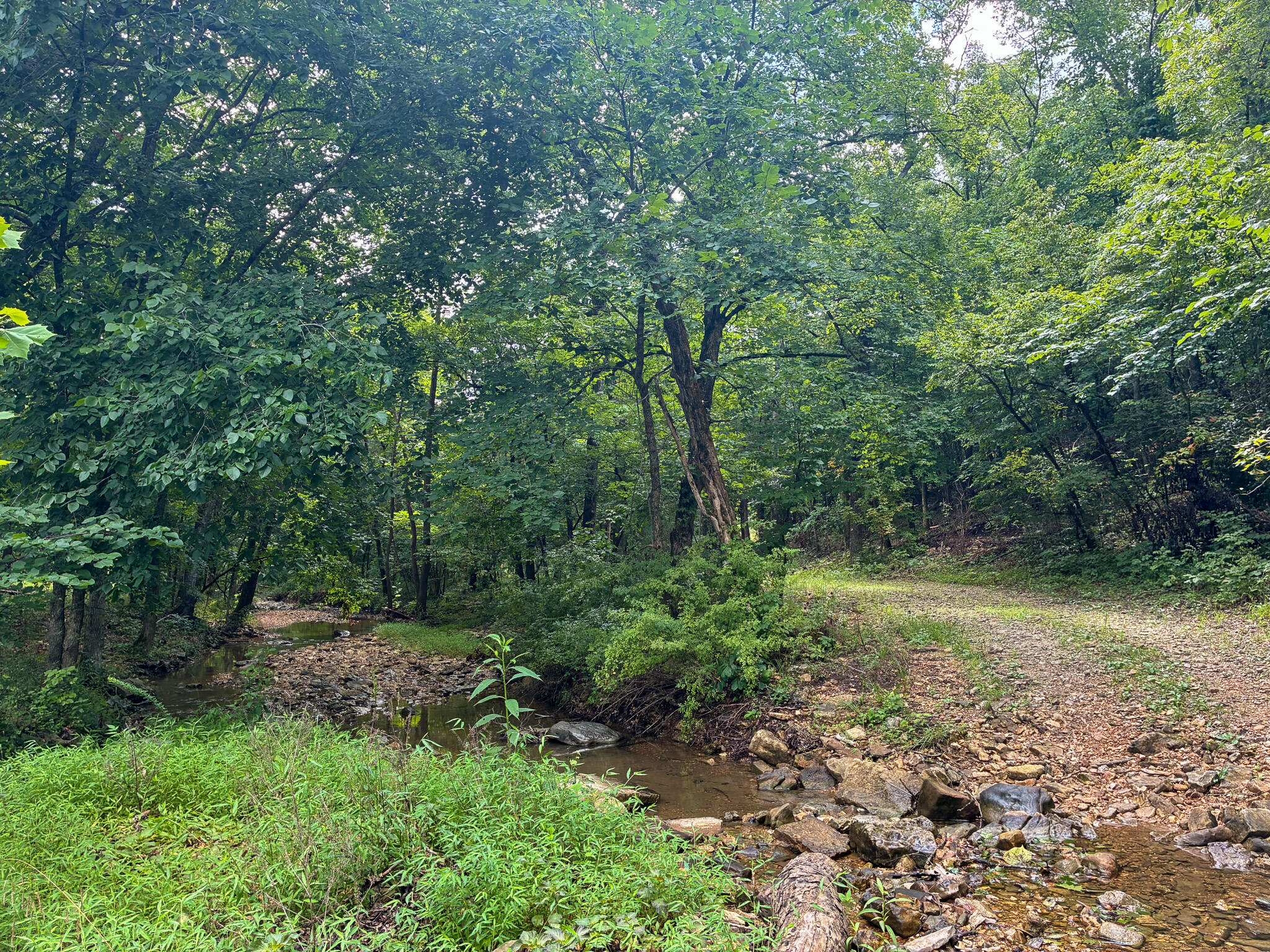 Photo 30 - Land for sale – 121  Legacy Farm Rd   Chestnutridge, MO