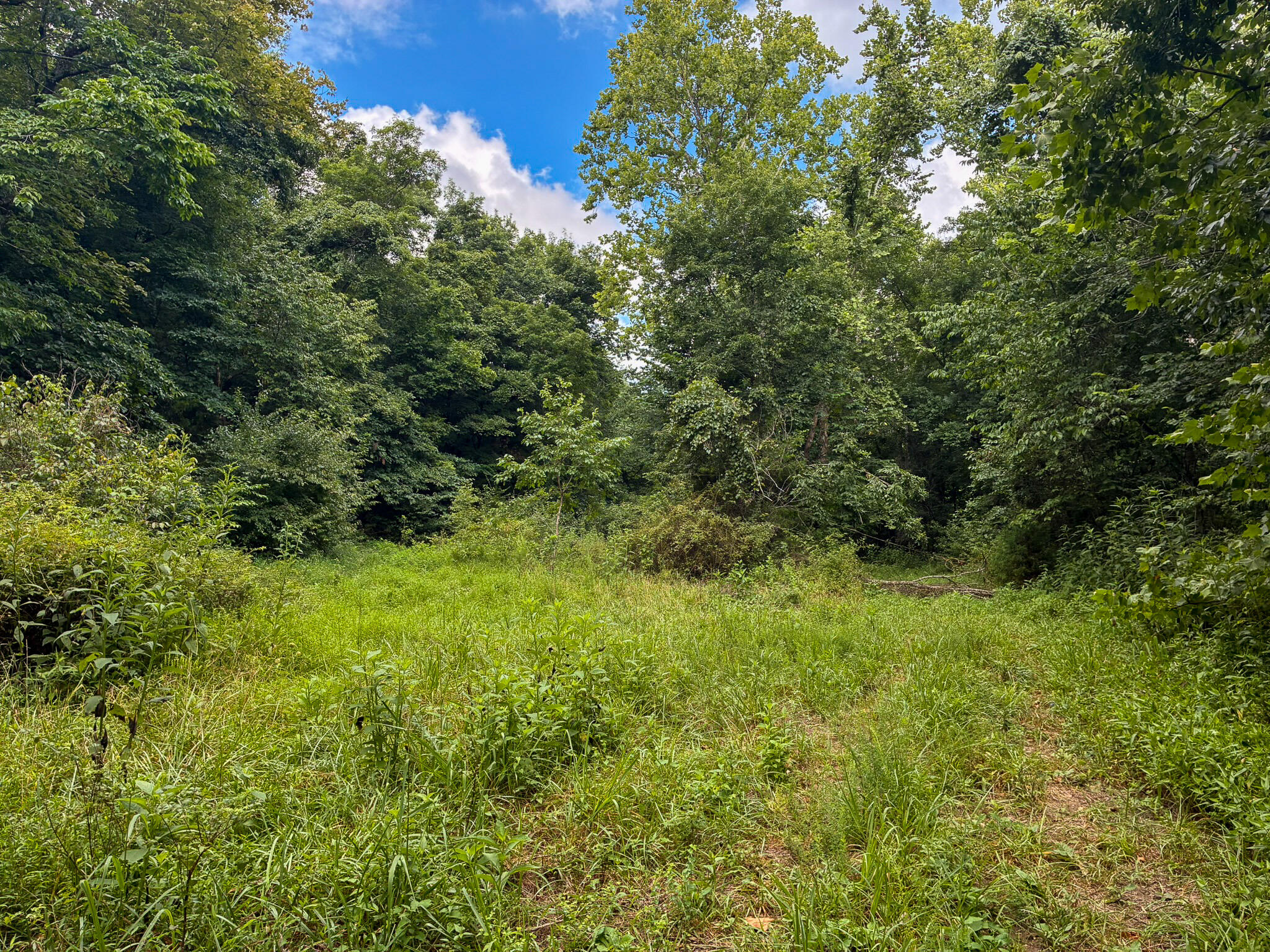 Photo 34 - Land for sale – 121  Legacy Farm Rd   Chestnutridge, MO
