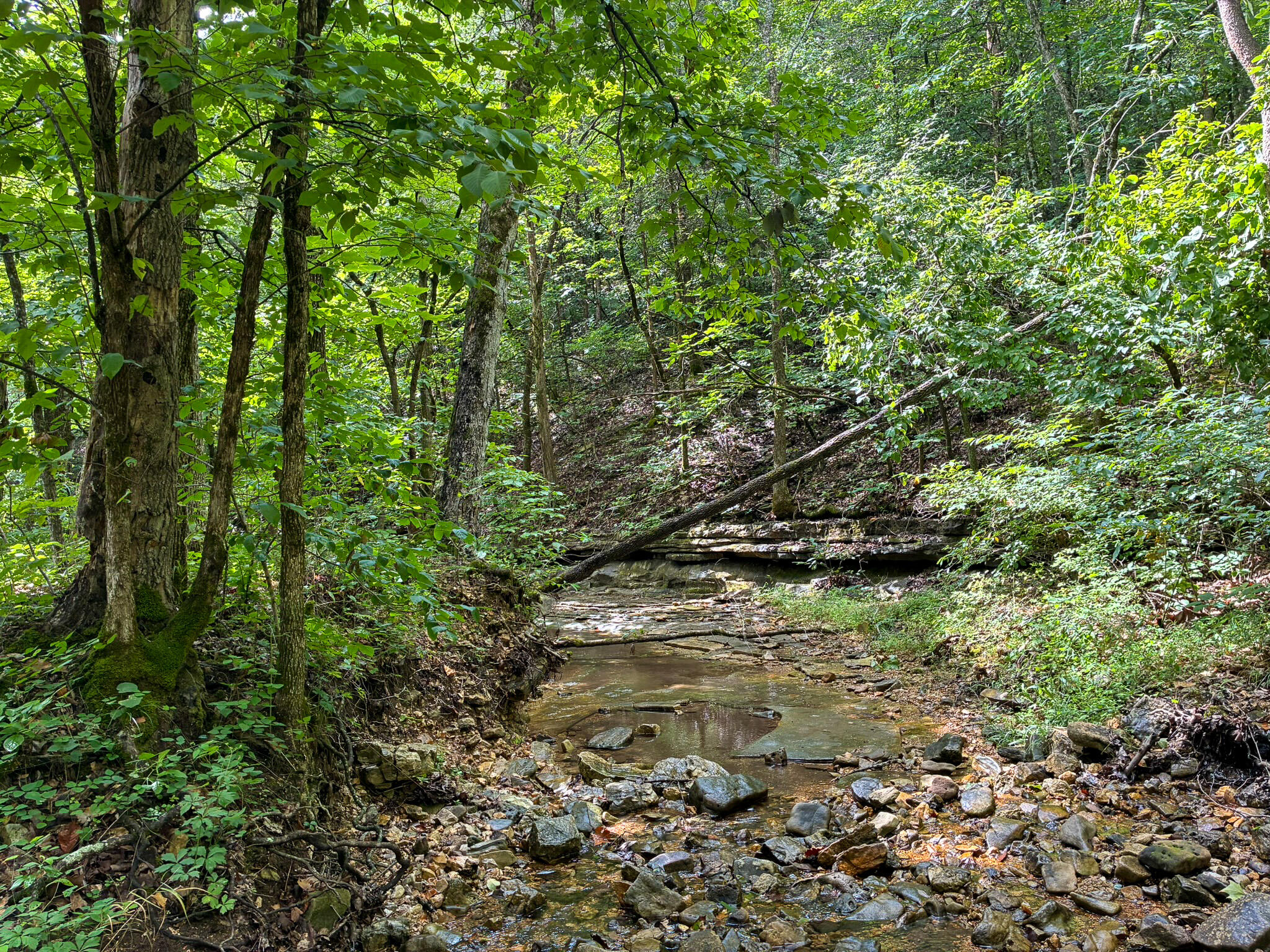 Photo 40 - Land for sale – 121  Legacy Farm Rd   Chestnutridge, MO