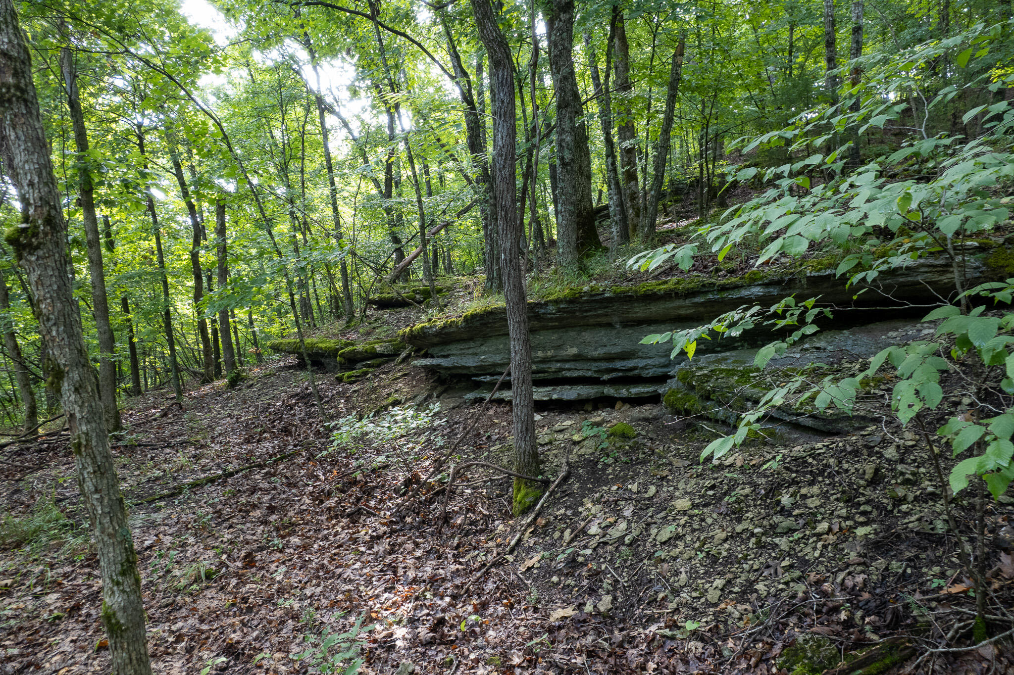 Photo 47 - Land for sale – 121  Legacy Farm Rd   Chestnutridge, MO