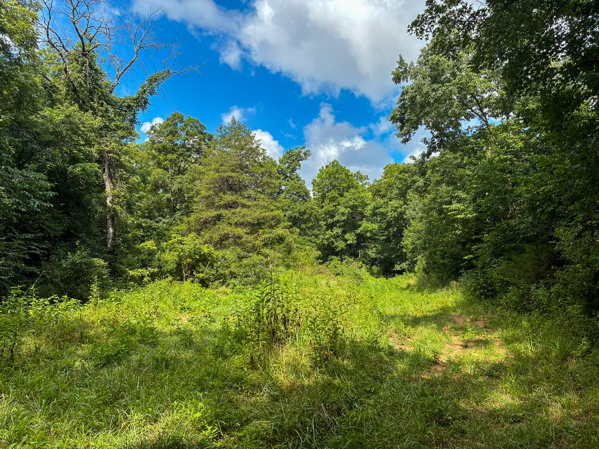 Photo 38 - Land for sale – 121  Legacy Farm Rd   Chestnutridge, MO