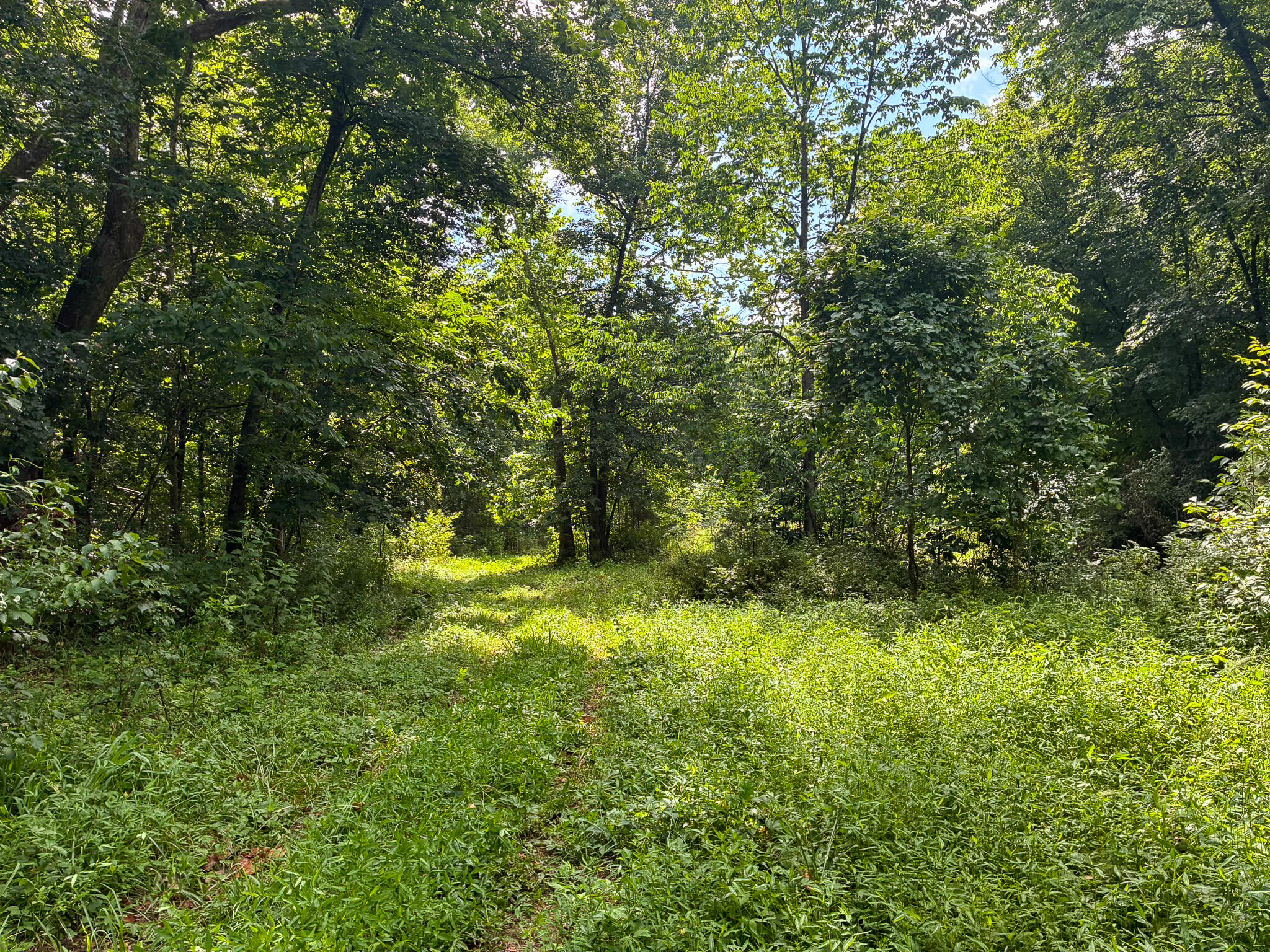 Photo 36 - Land for sale – 121  Legacy Farm Rd   Chestnutridge, MO