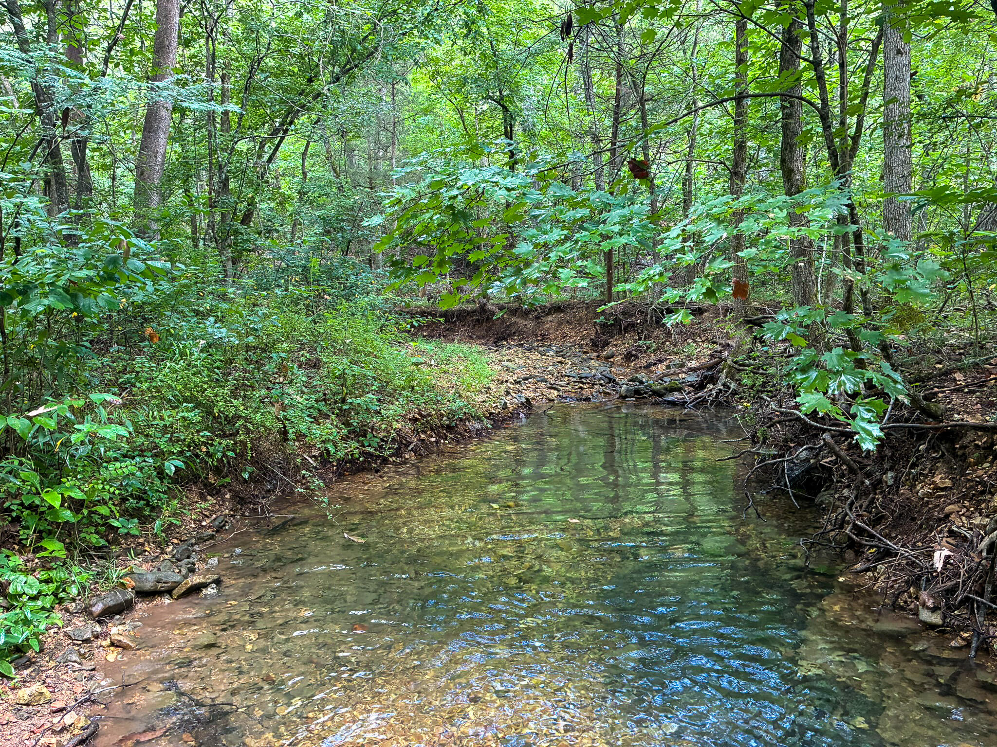 Photo 2 - Land for sale – 121  Legacy Farm Rd   Chestnutridge, MO