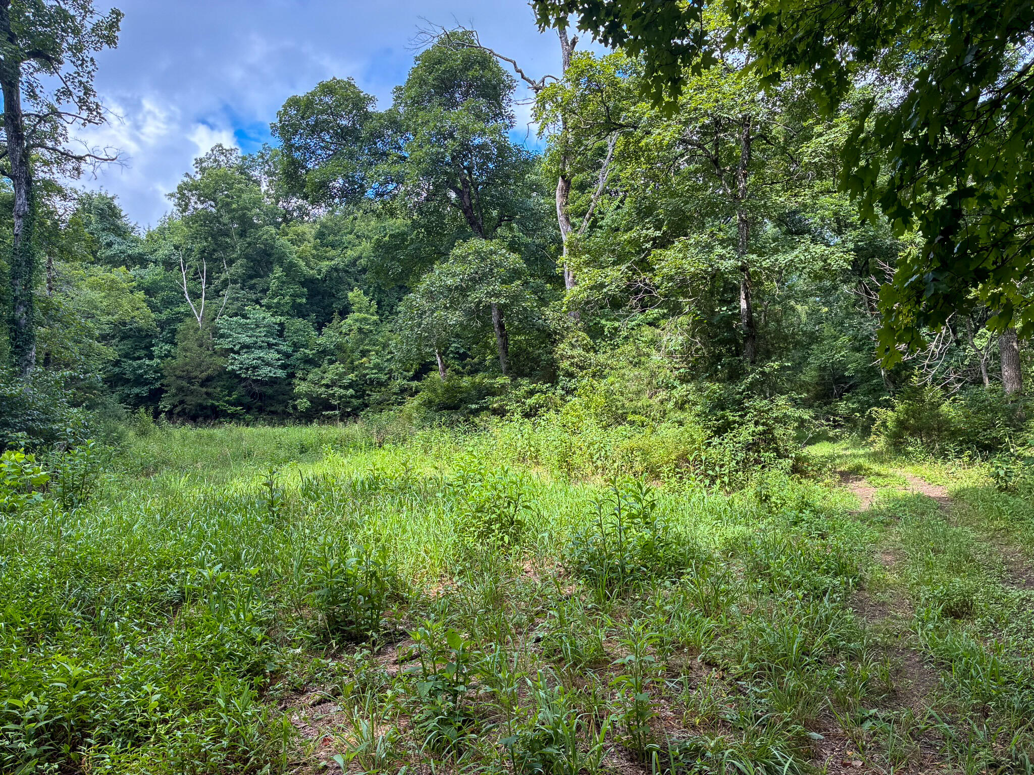Photo 45 - Land for sale – 121  Legacy Farm Rd   Chestnutridge, MO