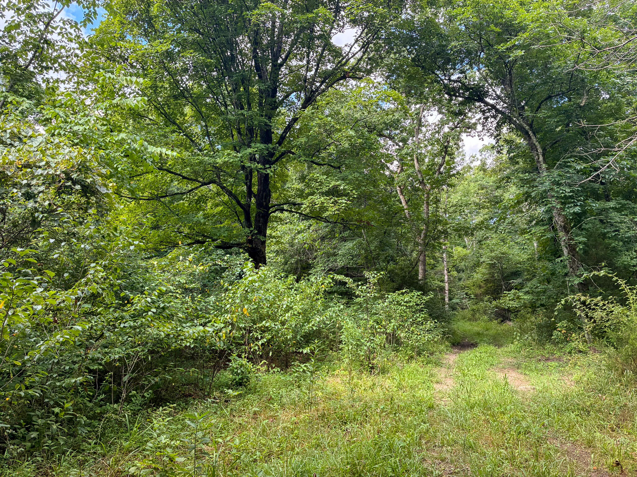 Photo 44 - Land for sale – 121  Legacy Farm Rd   Chestnutridge, MO