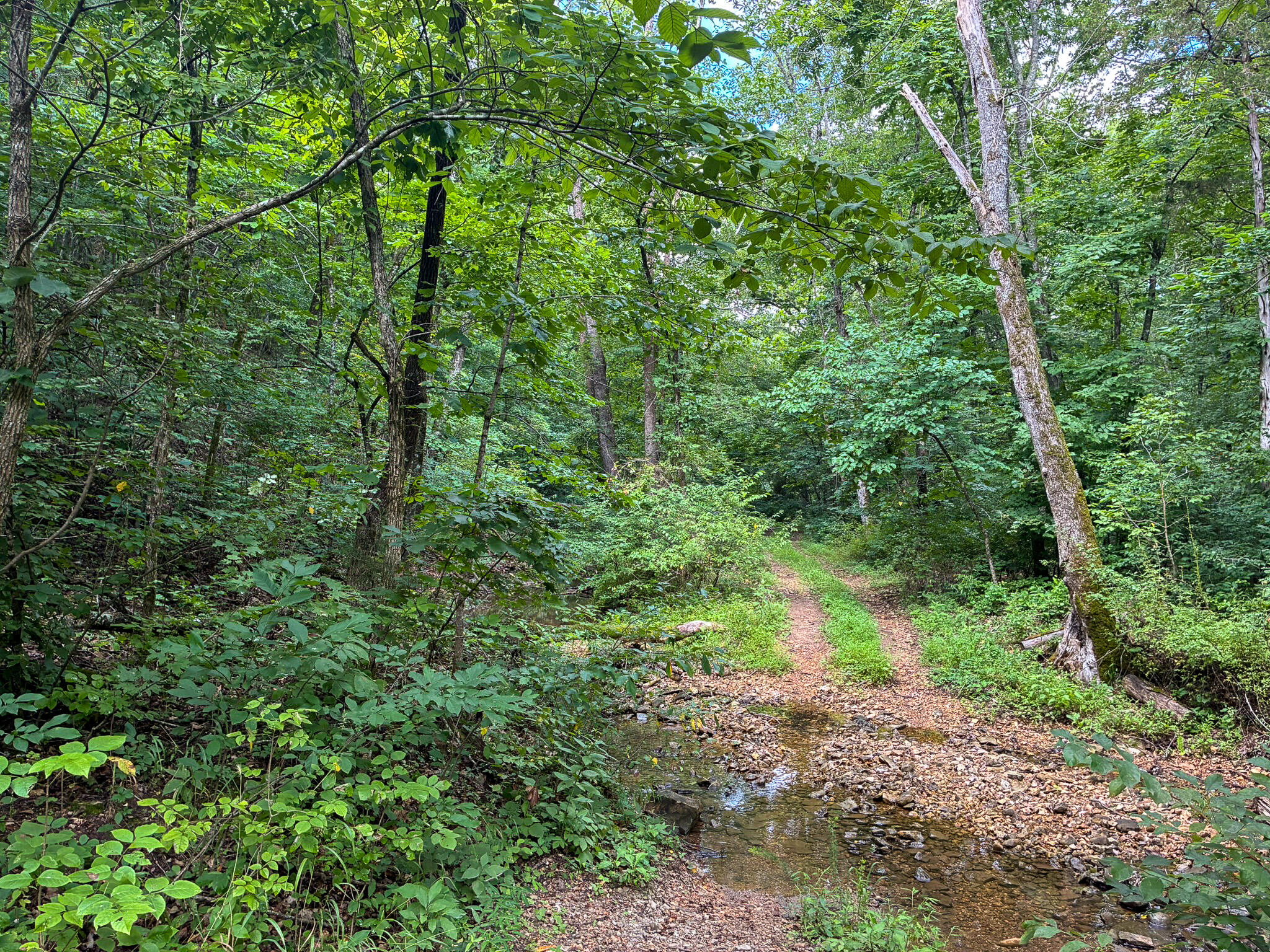 Photo 33 - Land for sale – 121  Legacy Farm Rd   Chestnutridge, MO