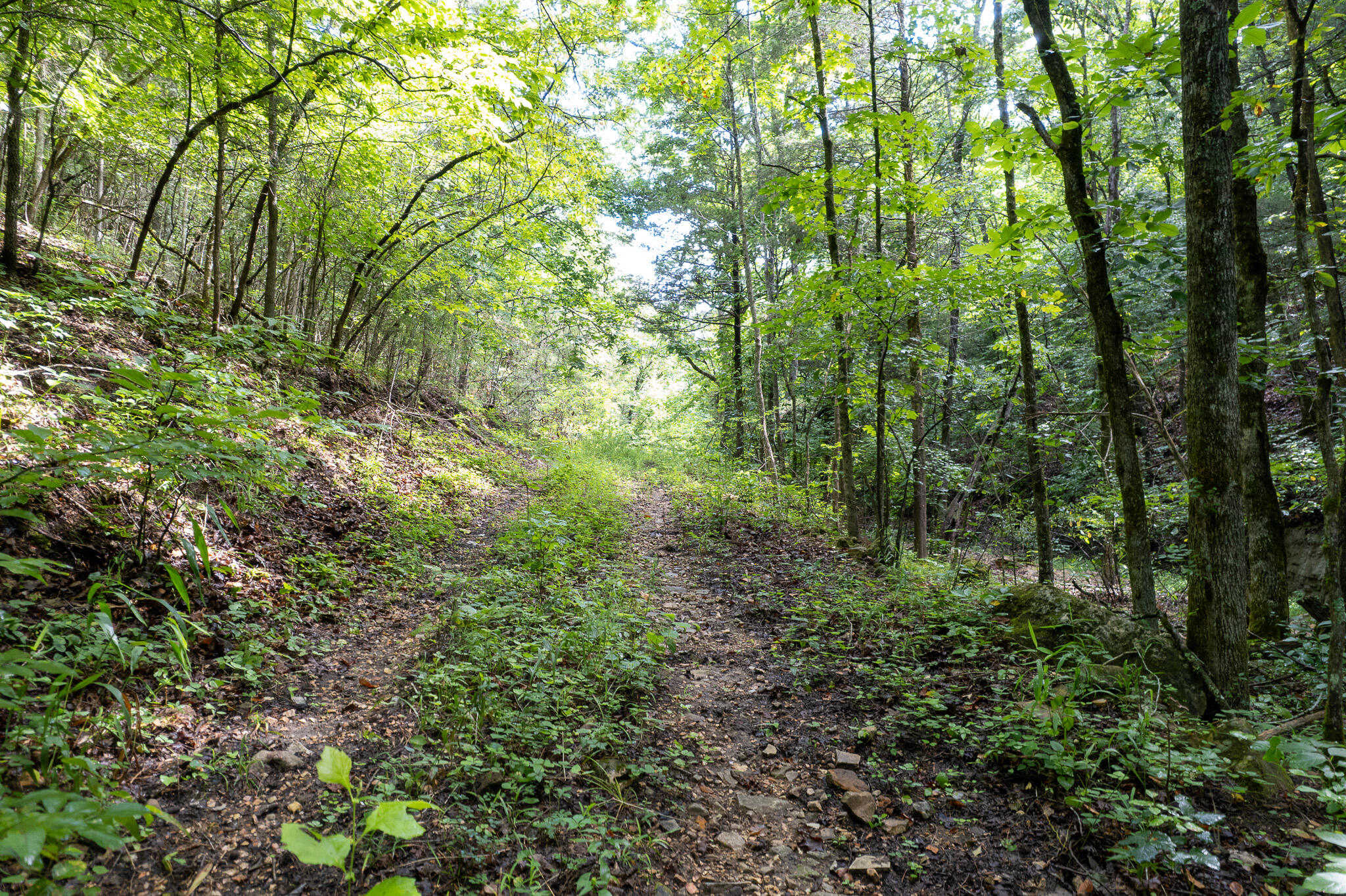 Photo 51 - Land for sale – 121  Legacy Farm Rd   Chestnutridge, MO