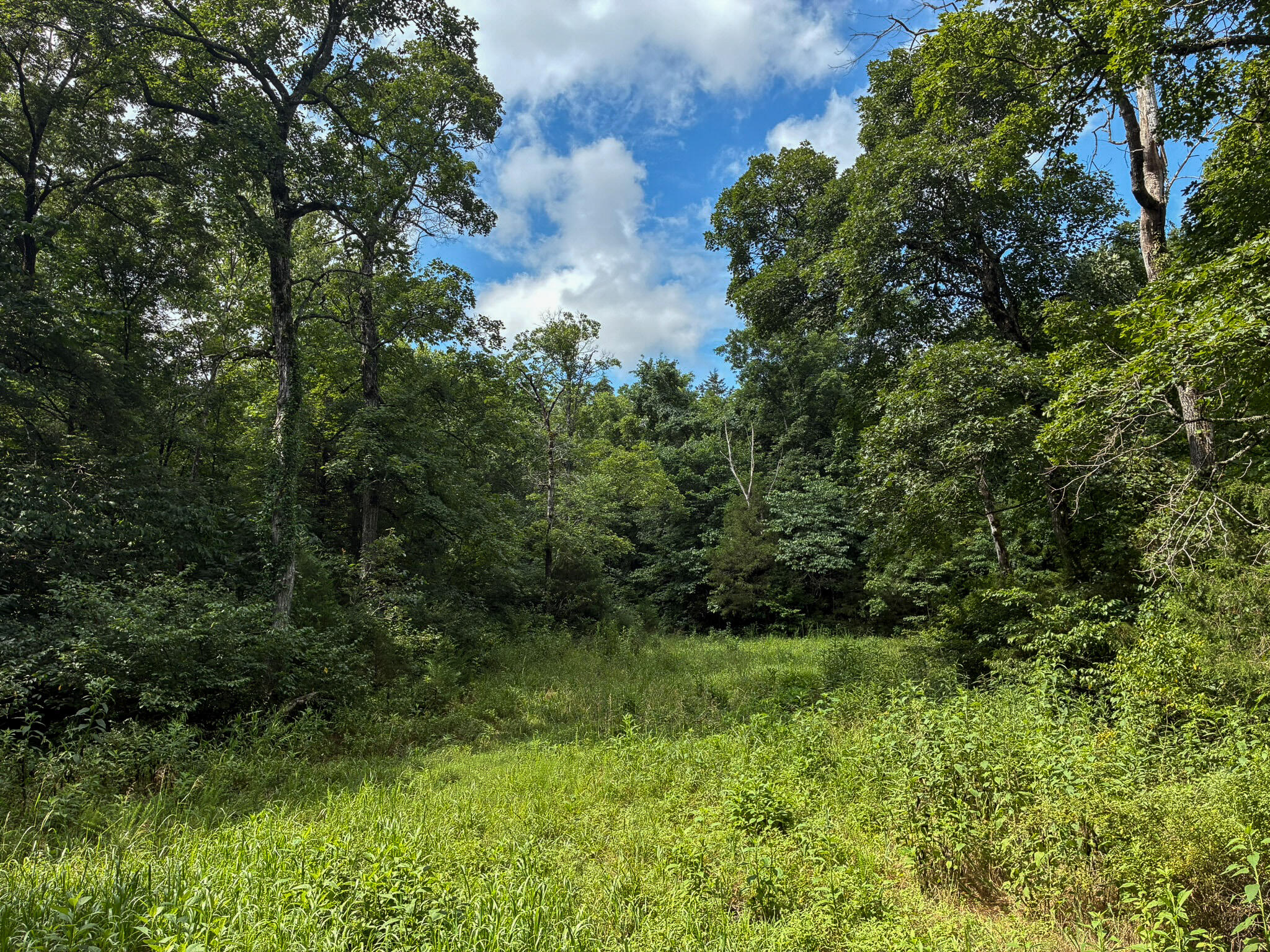Photo 37 - Land for sale – 121  Legacy Farm Rd   Chestnutridge, MO