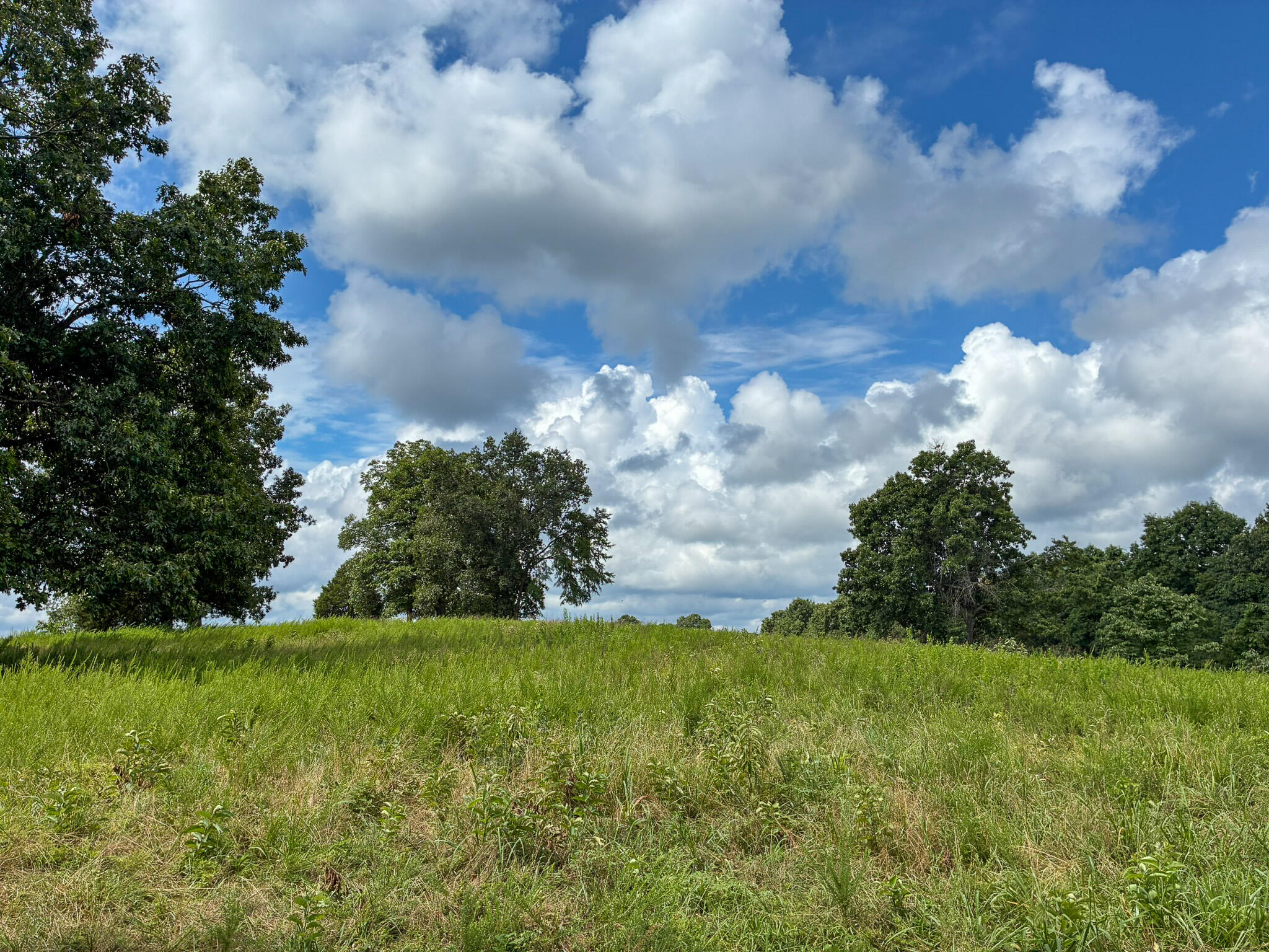 Photo 28 - Land for sale – 121  Legacy Farm Rd   Chestnutridge, MO