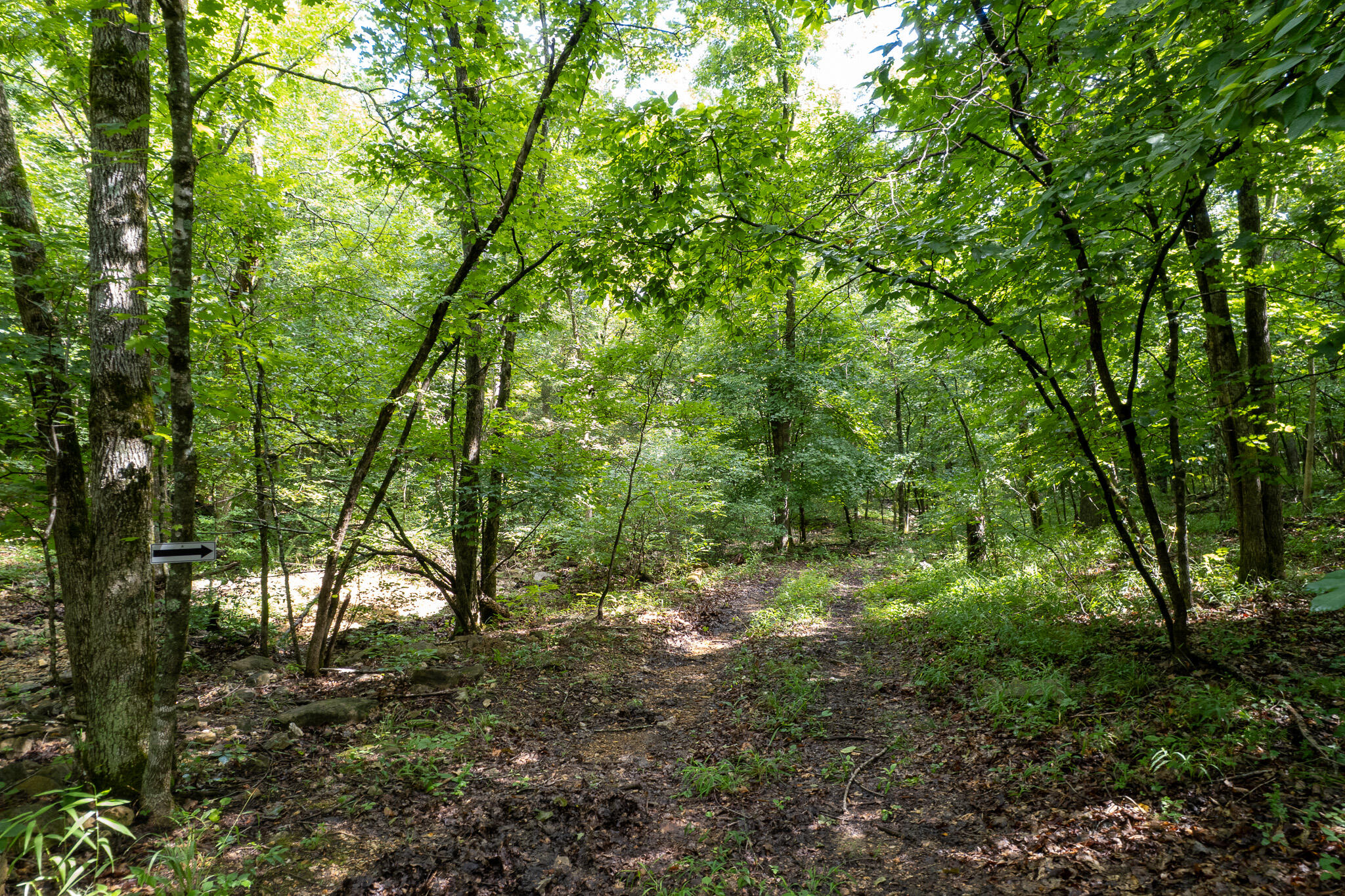 Photo 57 - Land for sale – 121  Legacy Farm Rd   Chestnutridge, MO