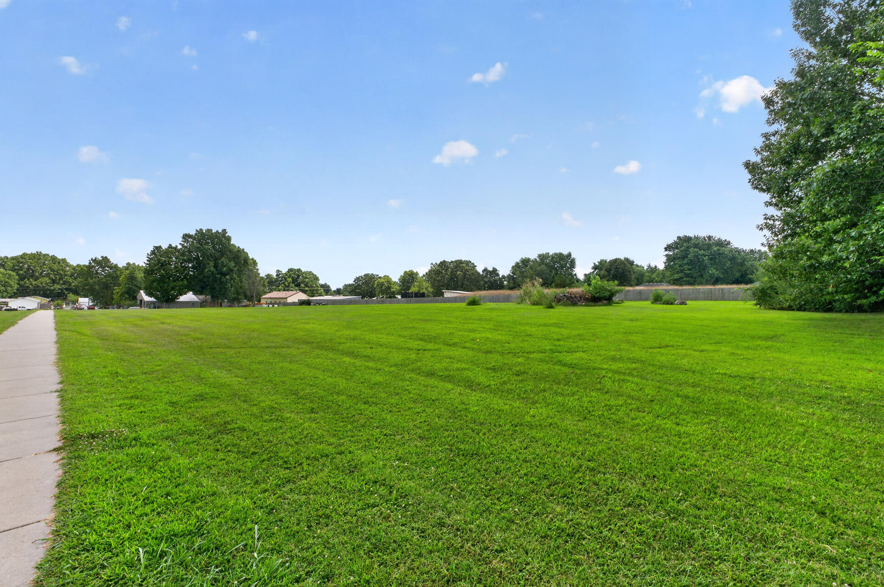 Photo 6 - Land for sale – Tbd N Public Avenue  Clever, MO
