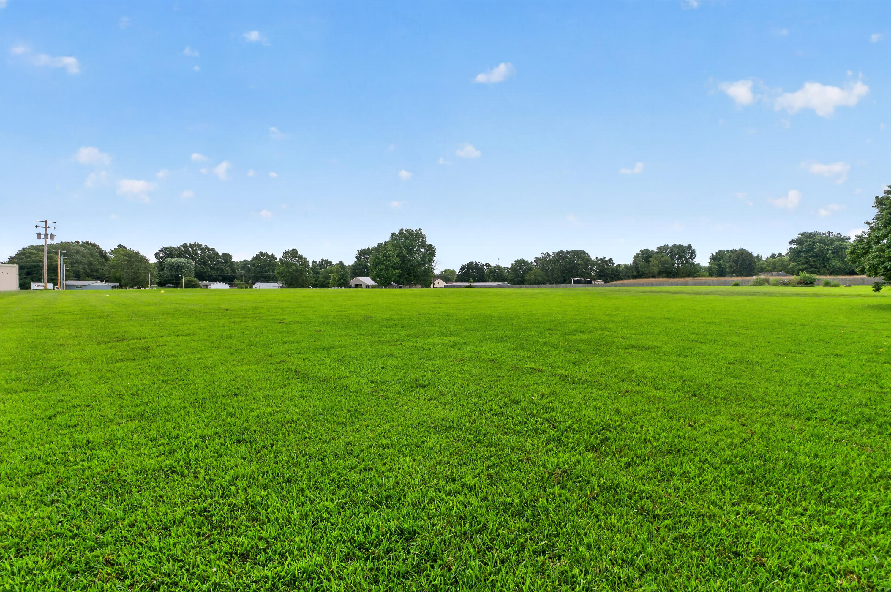 Photo 4 - Land for sale – Tbd N Public Avenue  Clever, MO