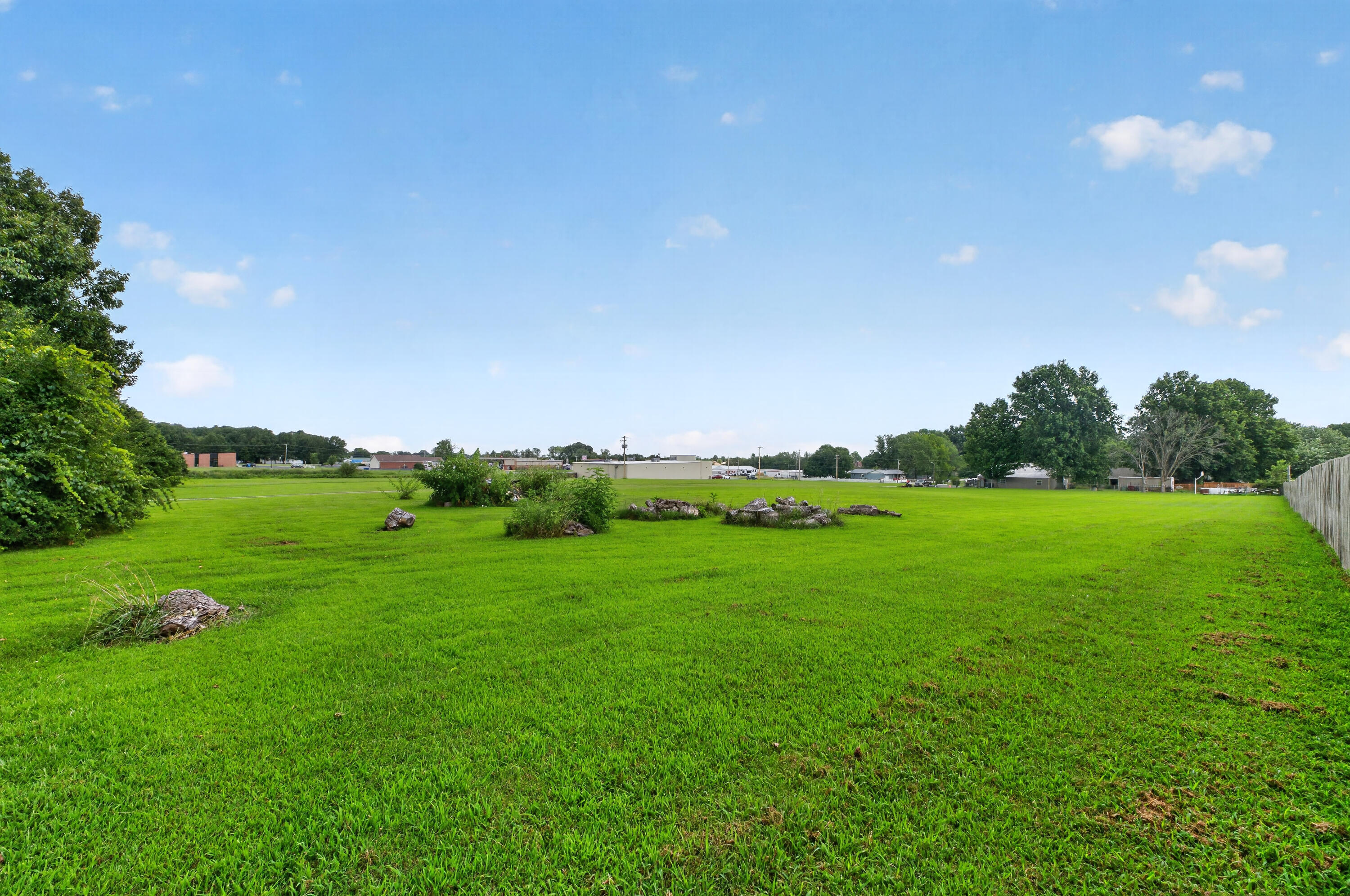 Photo 7 - Land for sale – Tbd N Public Avenue  Clever, MO