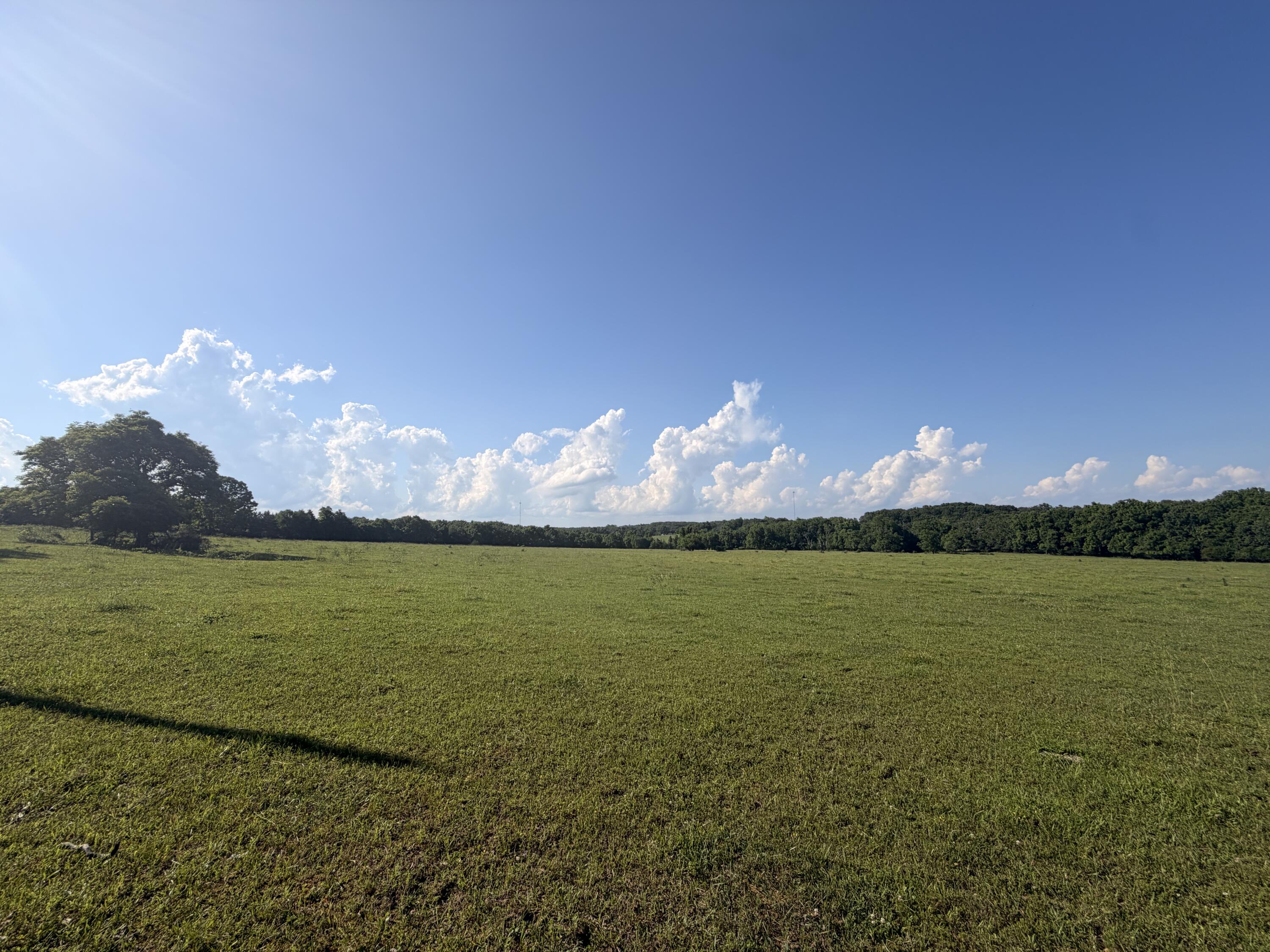 Photo 34 - Farm for sale – 4710  State Route A   Macomb, MO
