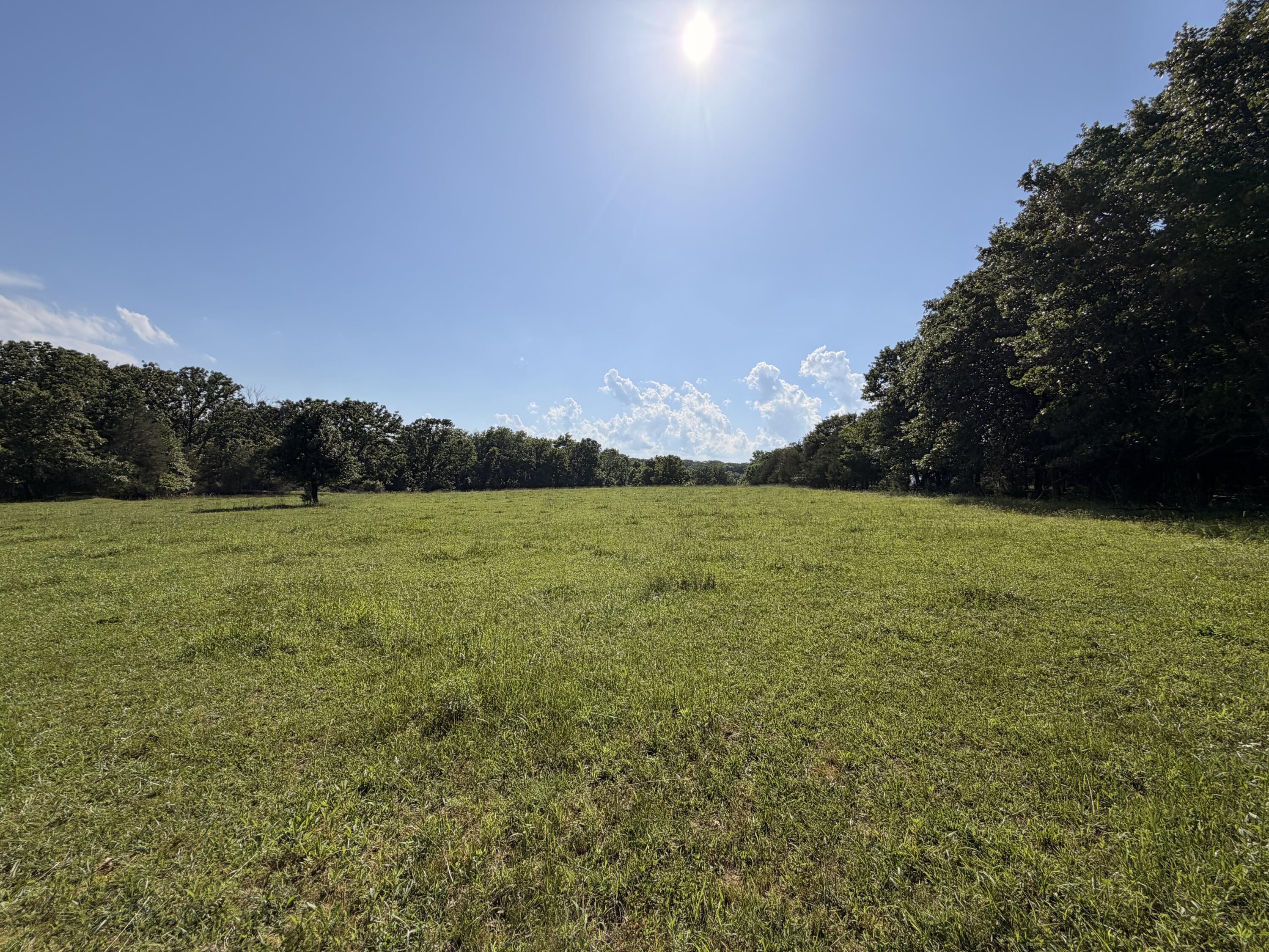 Photo 31 - Farm for sale – 4710  State Route A   Macomb, MO