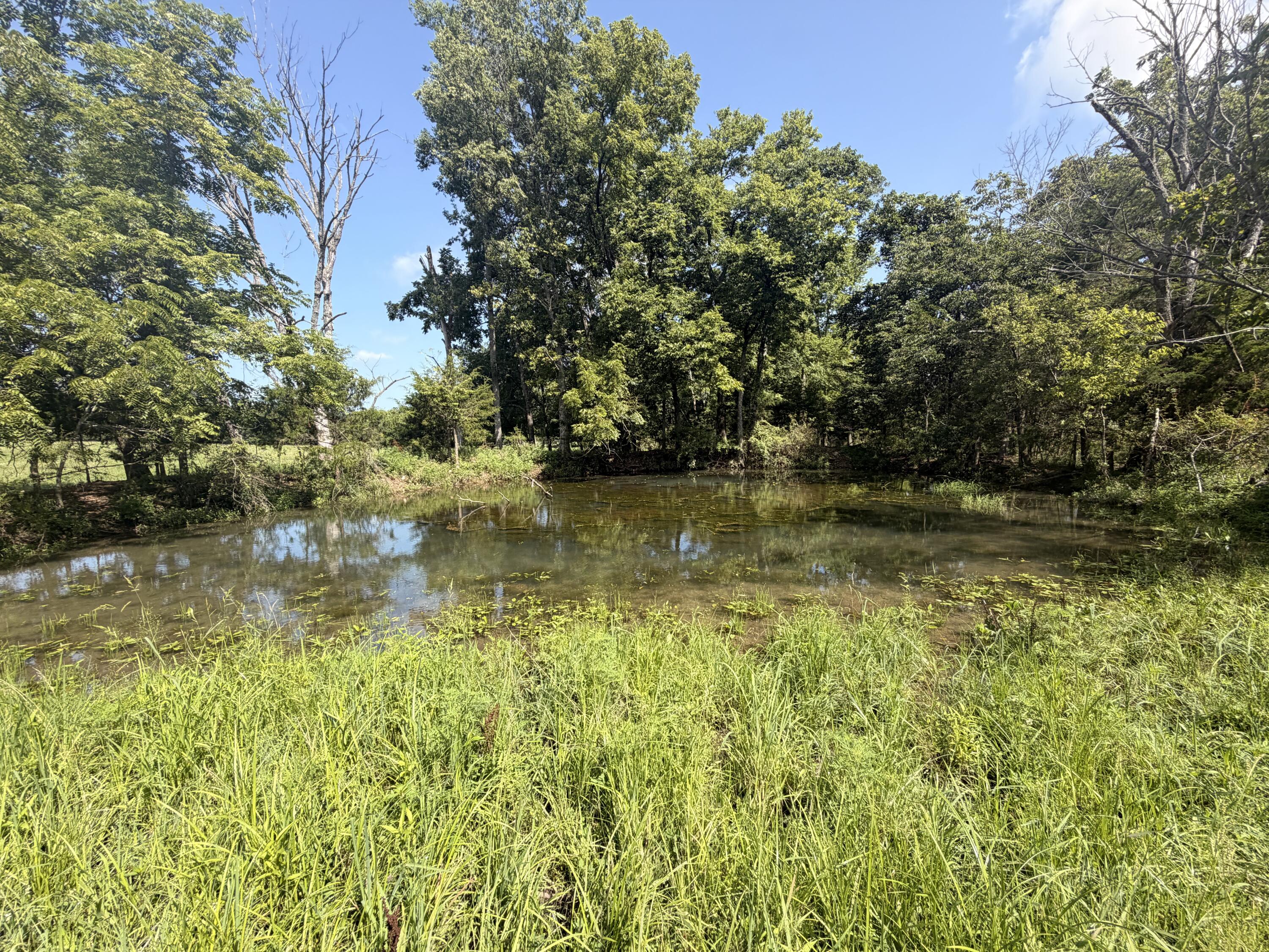 Photo 6 - Farm for sale – 4710  State Route A   Macomb, MO