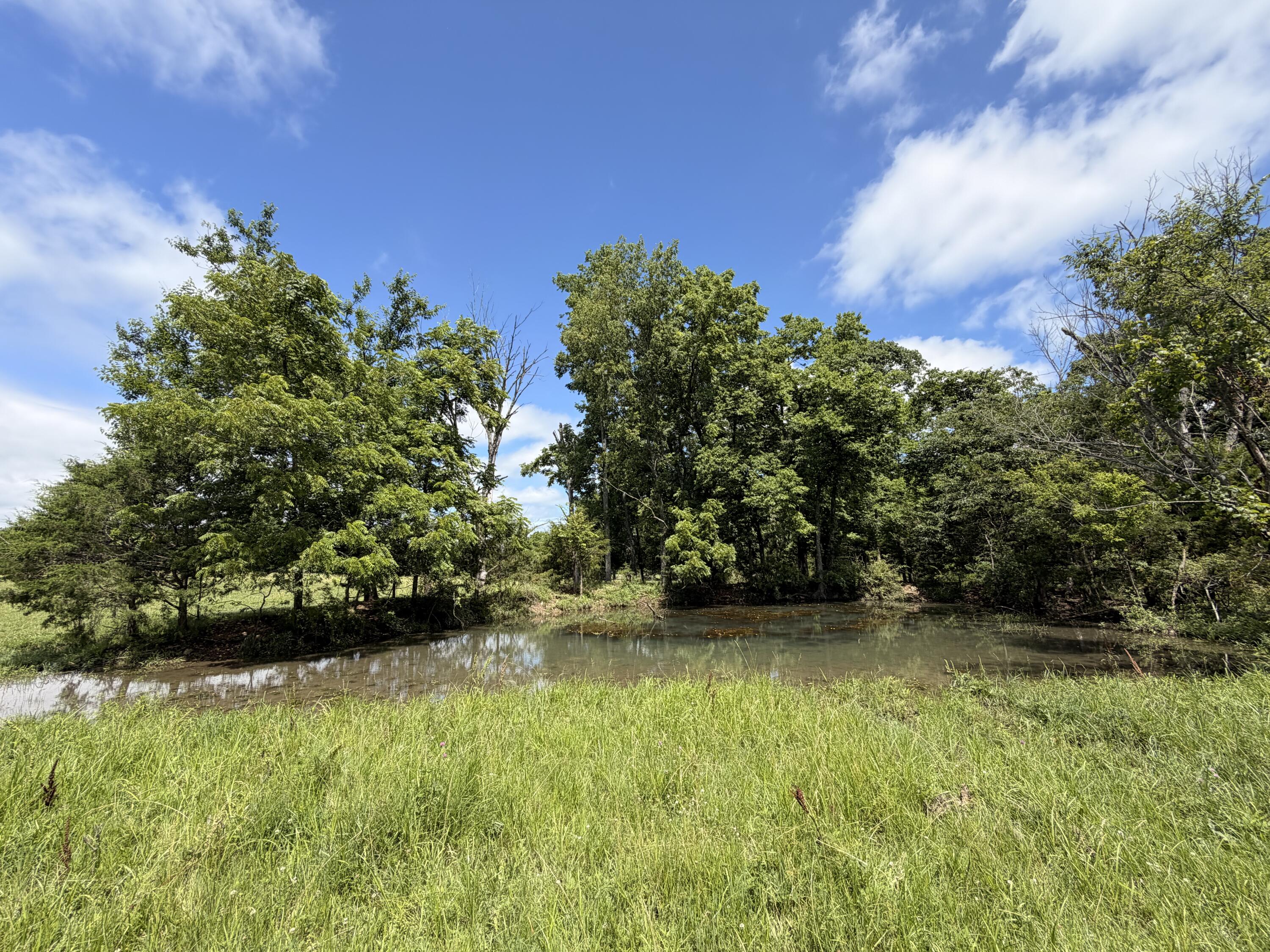Photo 28 - Farm for sale – 4710  State Route A   Macomb, MO