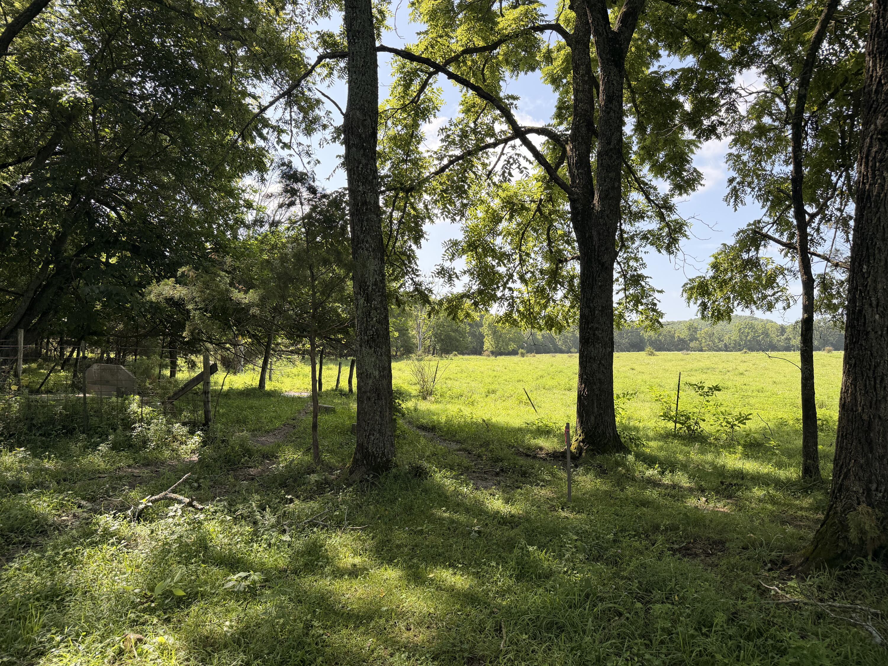 Photo 9 - Farm for sale – 4710  State Route A   Macomb, MO
