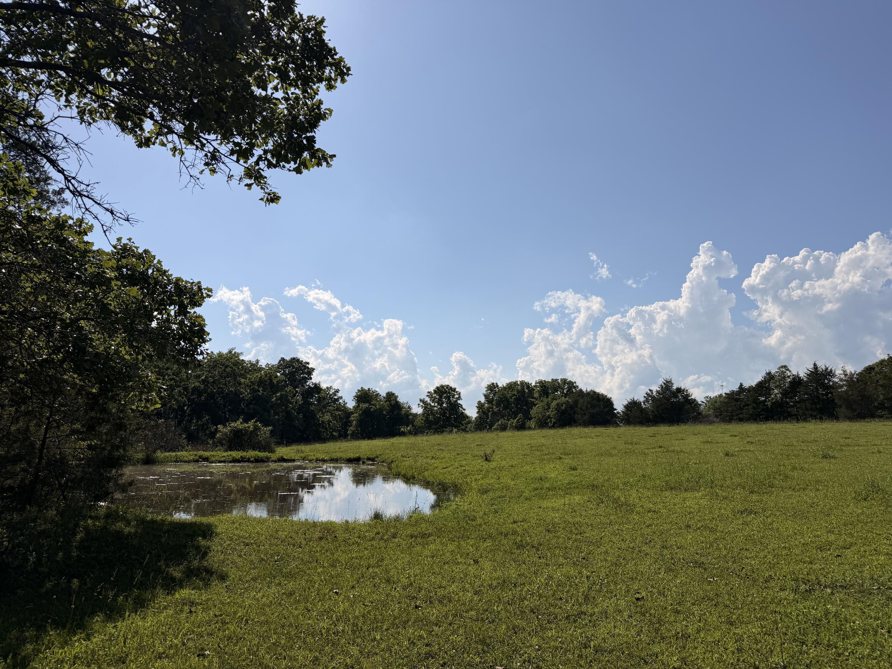 Photo 32 - Farm for sale – 4710  State Route A   Macomb, MO