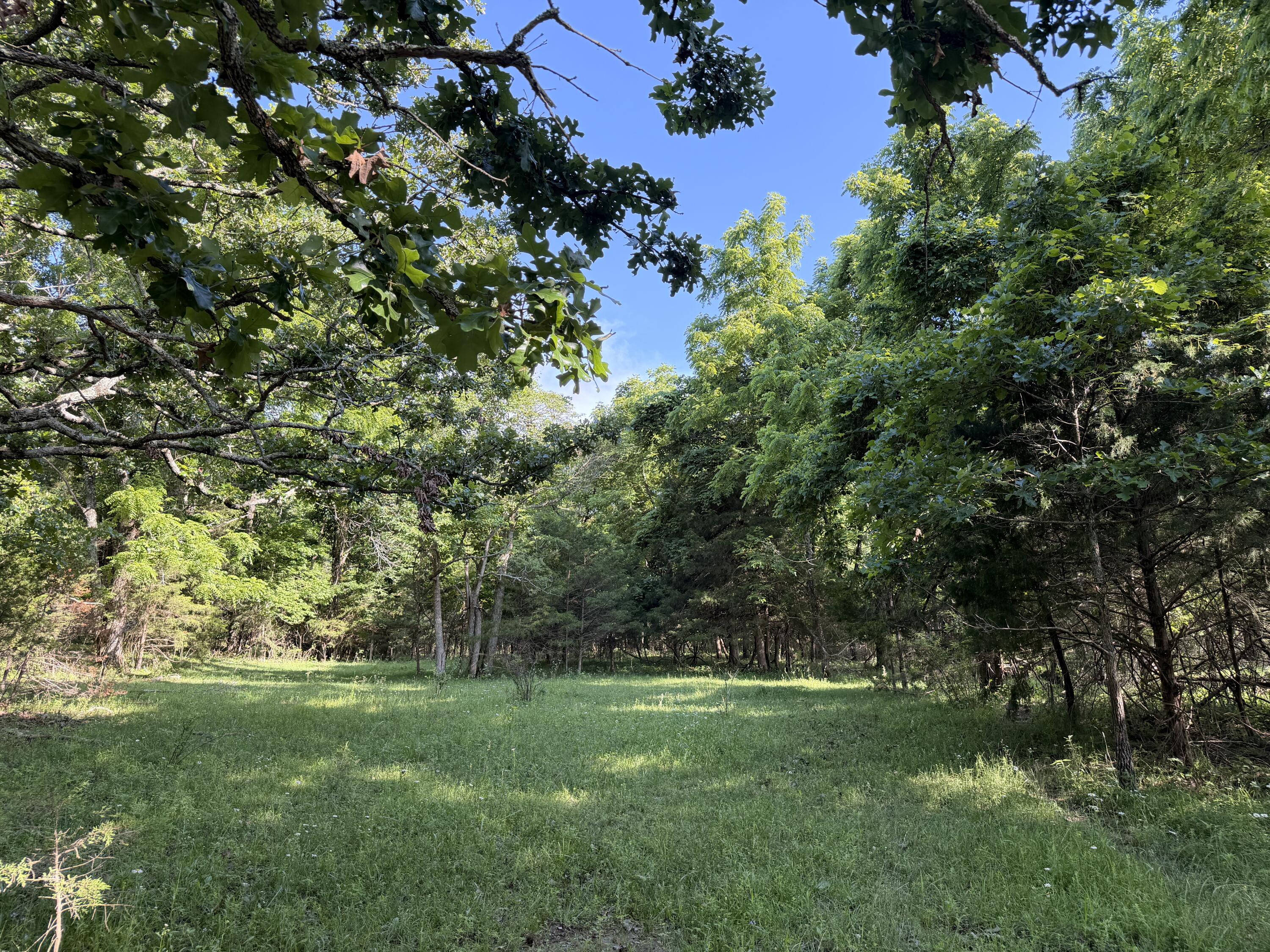 Photo 24 - Farm for sale – 4710  State Route A   Macomb, MO