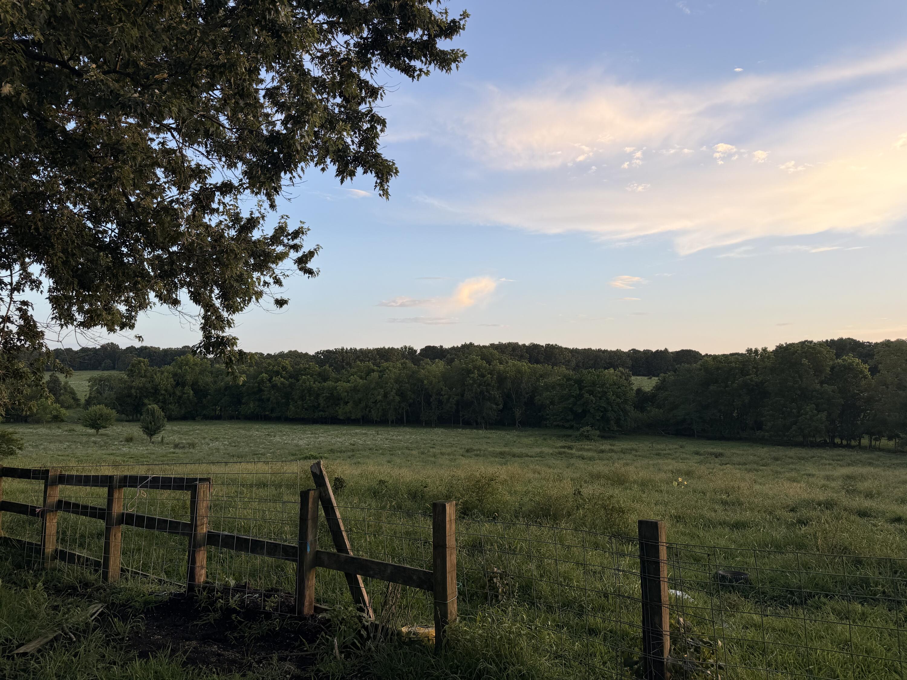 Photo 4 - Farm for sale – 4710  State Route A   Macomb, MO