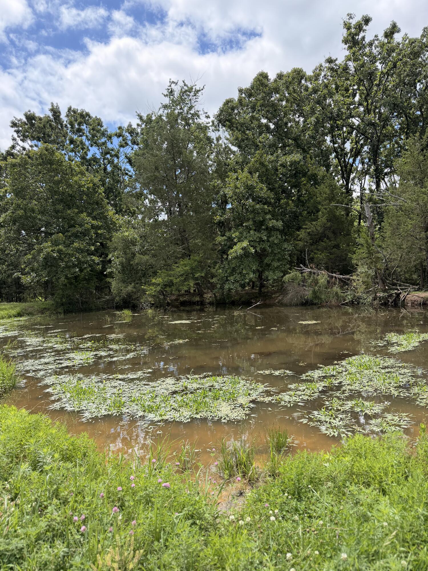 Photo 23 - Farm for sale – 4710  State Route A   Macomb, MO