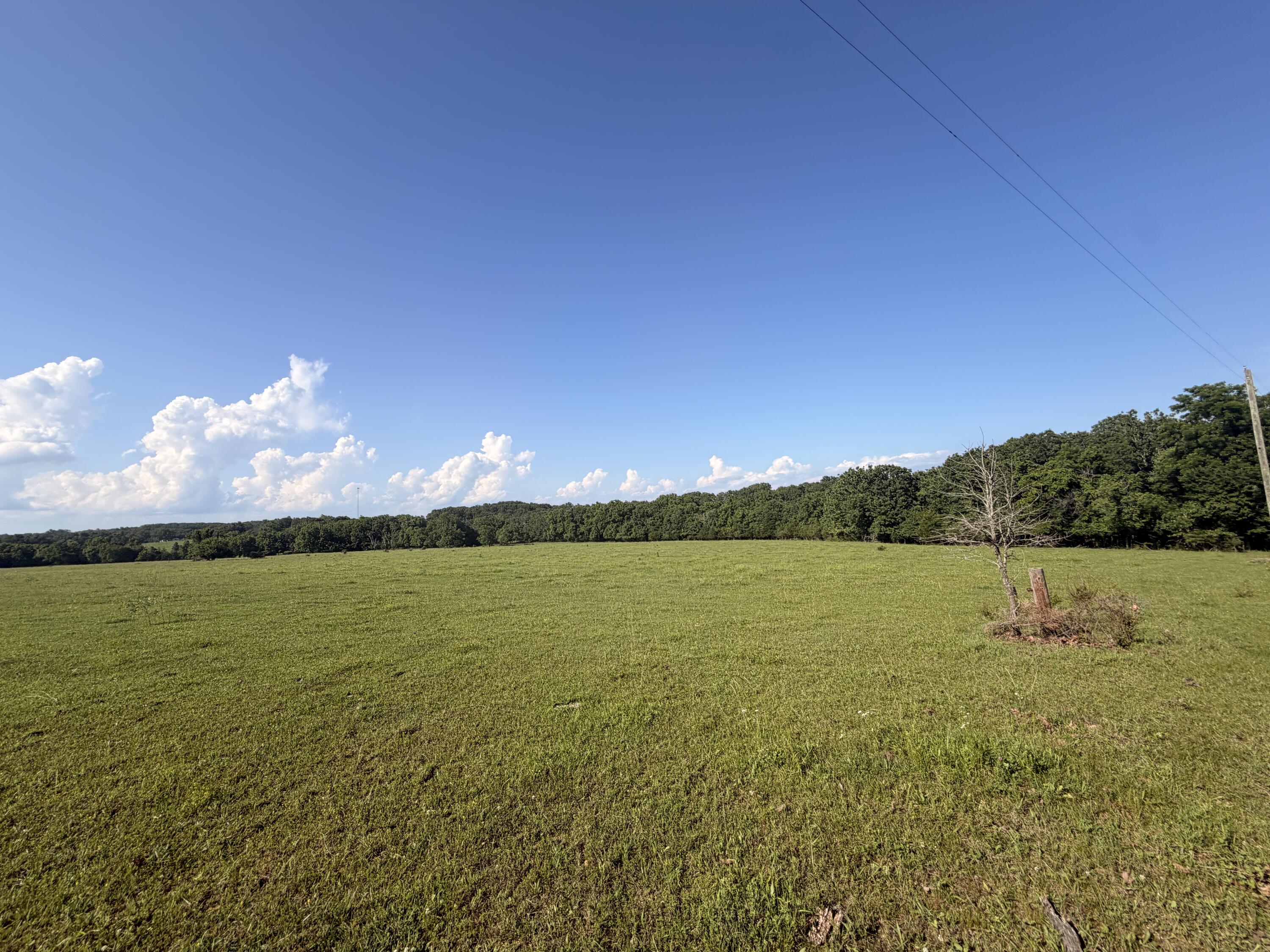 Photo 33 - Farm for sale – 4710  State Route A   Macomb, MO