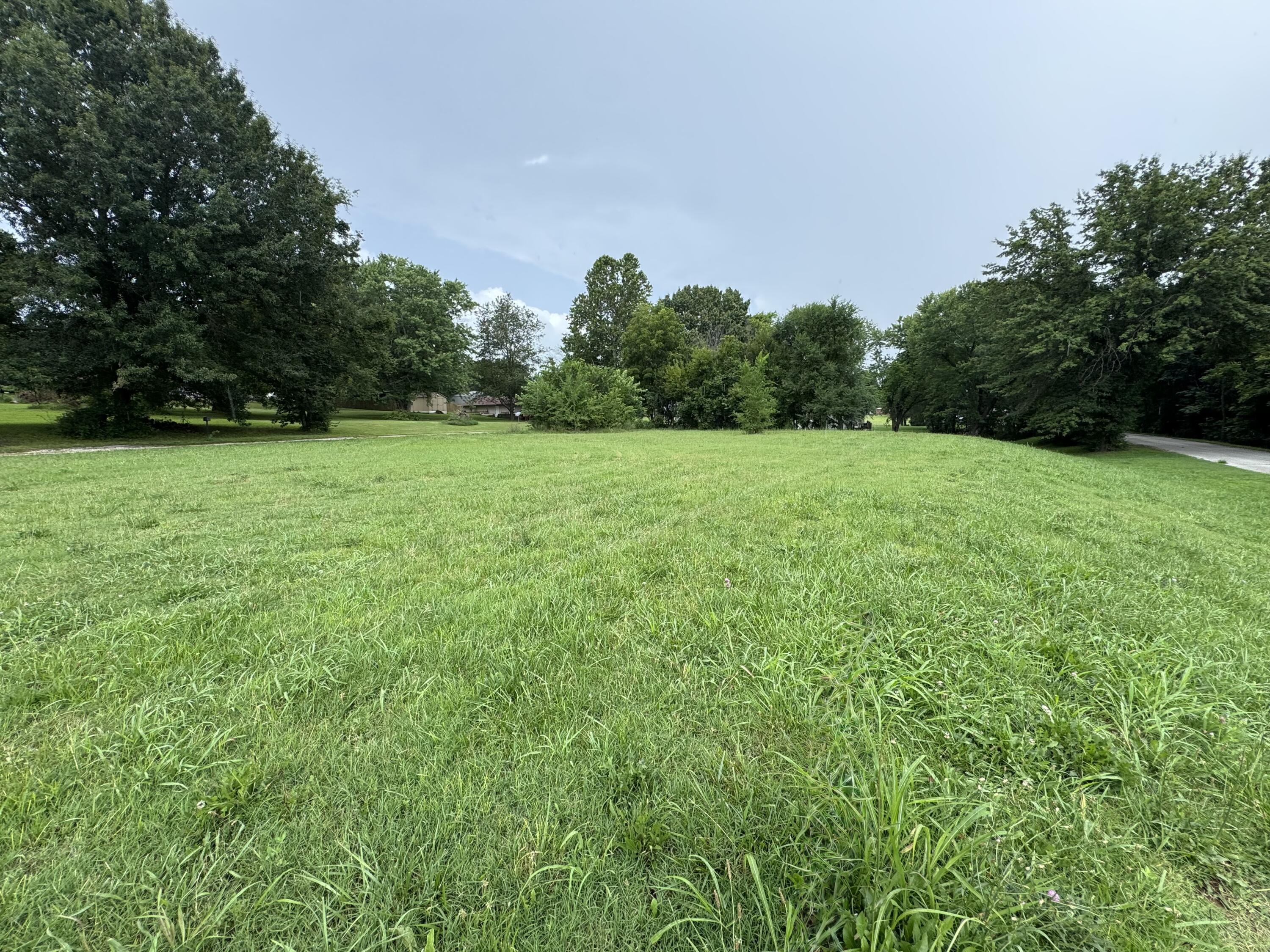 Photo 5 - Land for sale – 310 S Gulf Street  Walnut Grove, MO